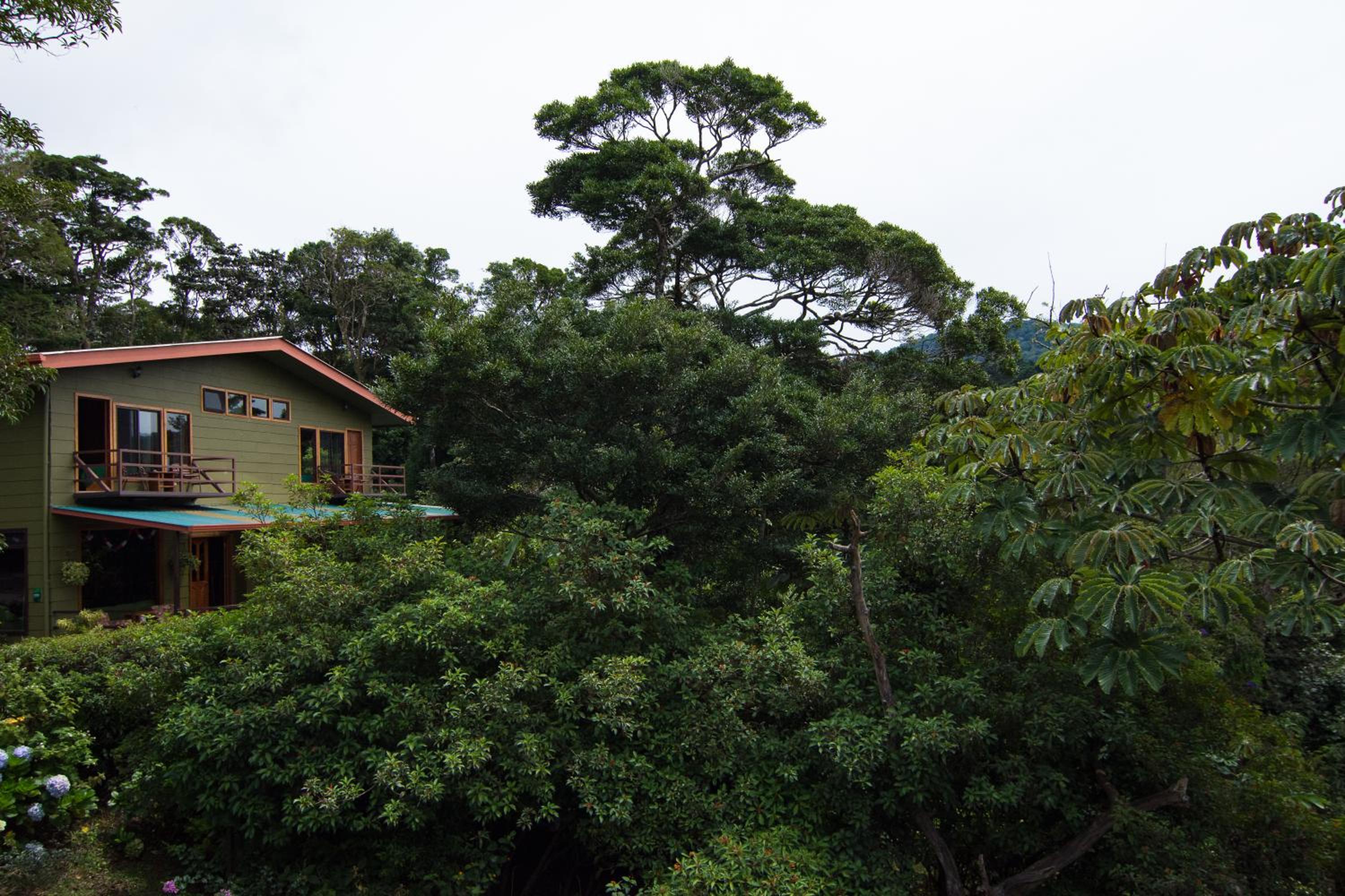 Cala Lodge