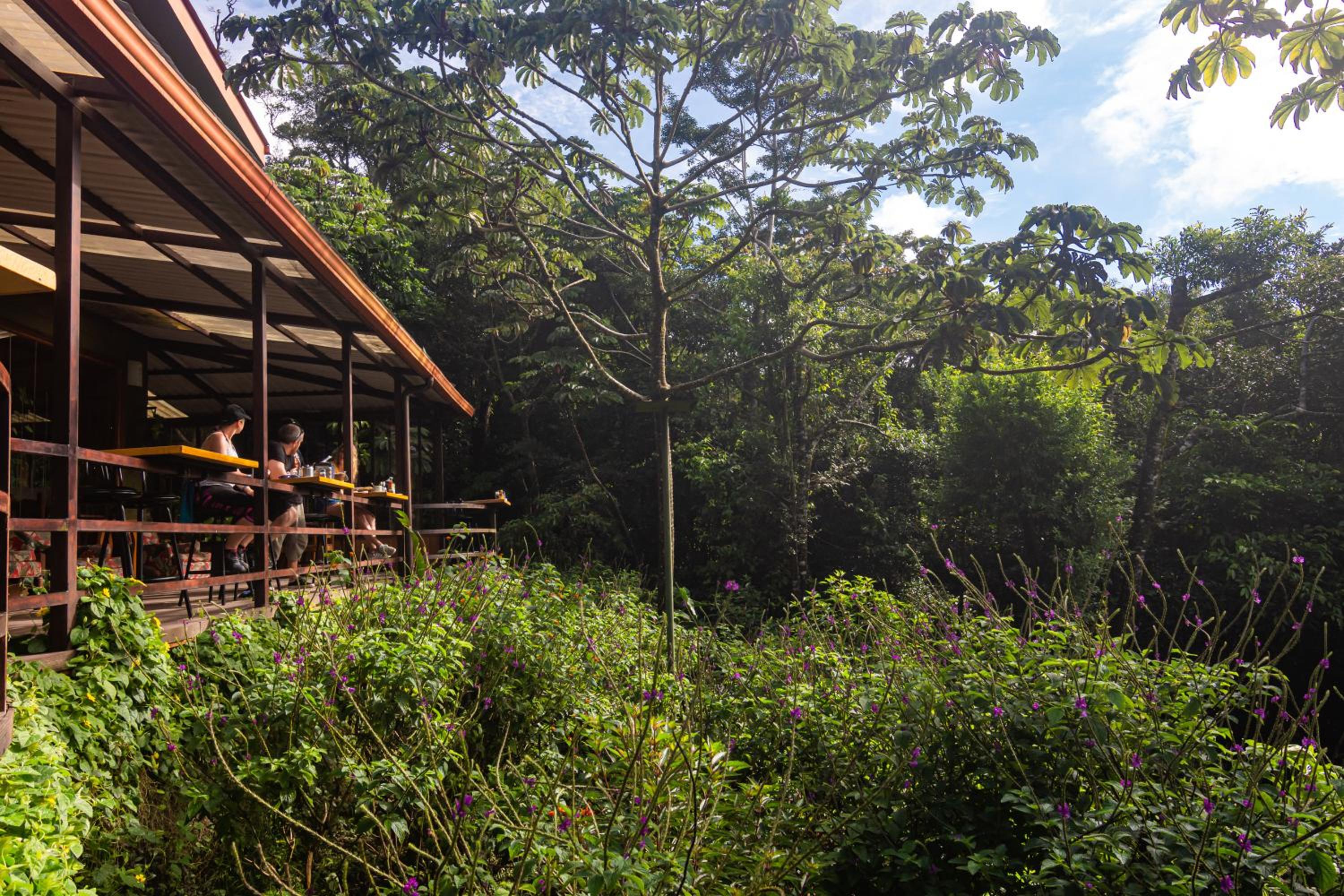 Cala Lodge
