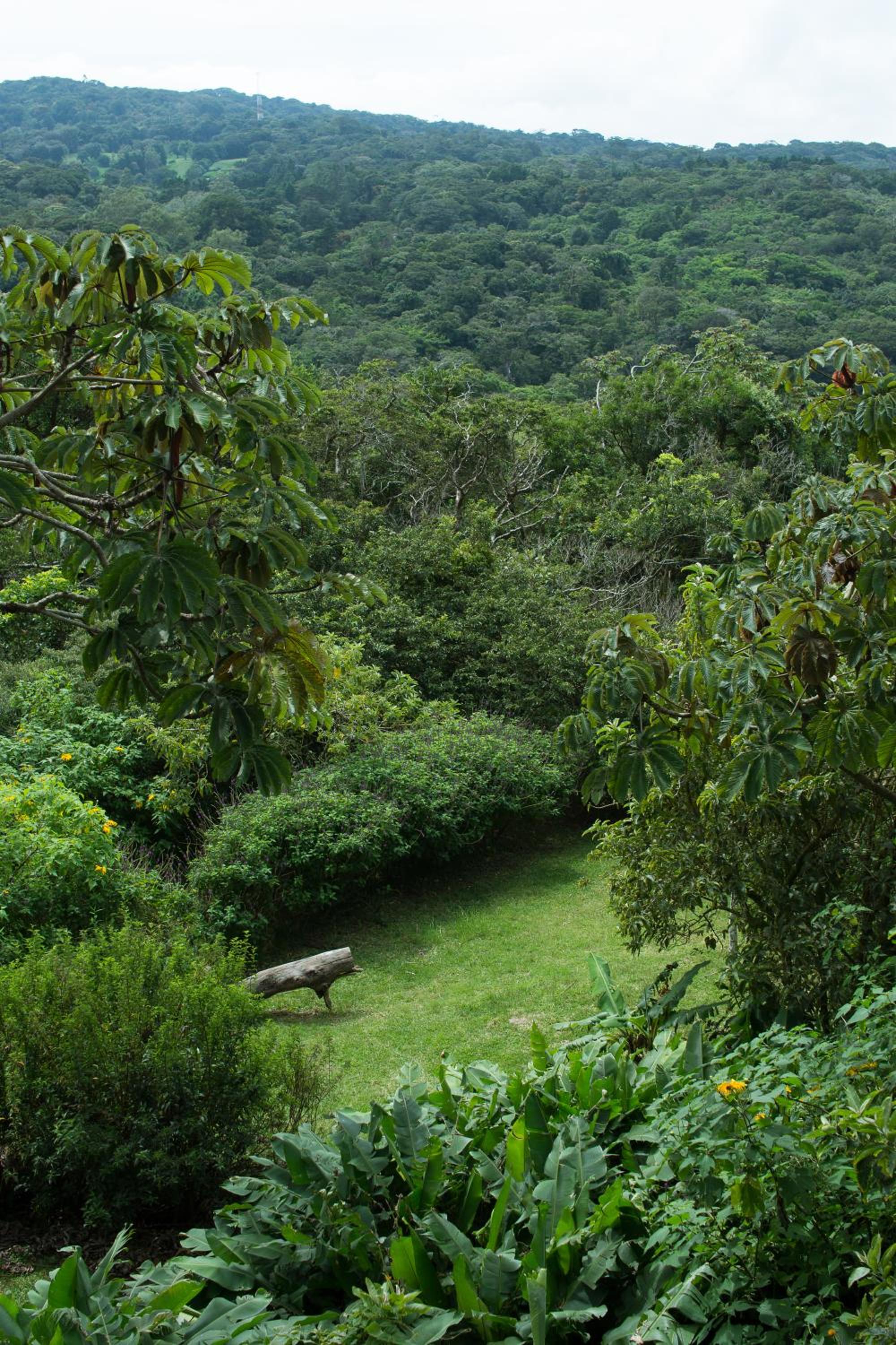 Cala Lodge
