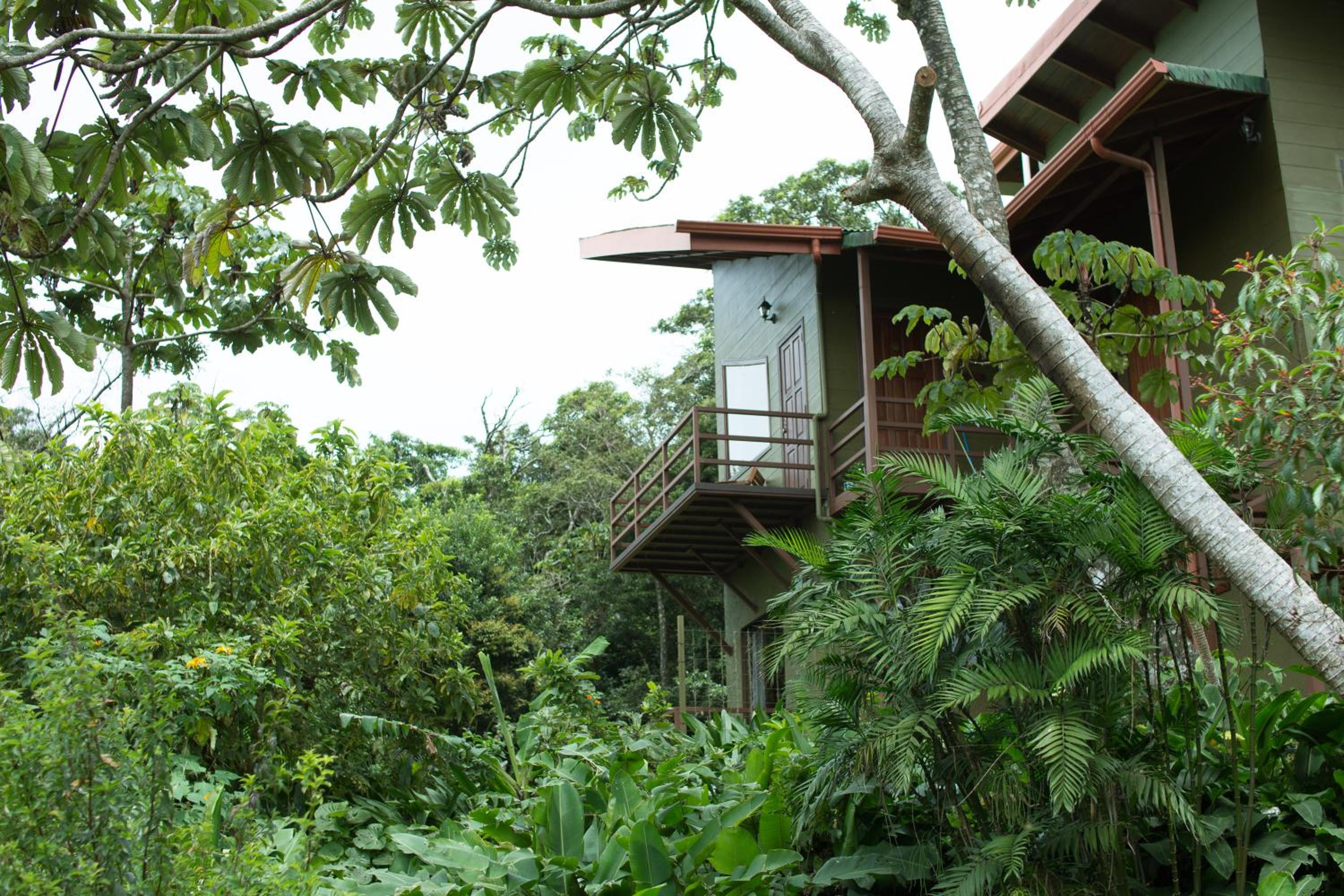Cala Lodge