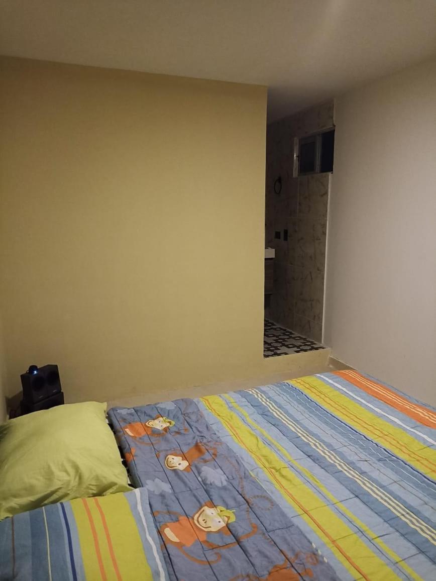 CEGA HOME BASIC