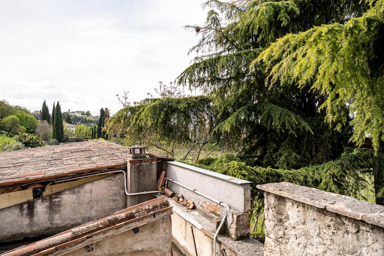 Bilocale immerso nel verde view 3