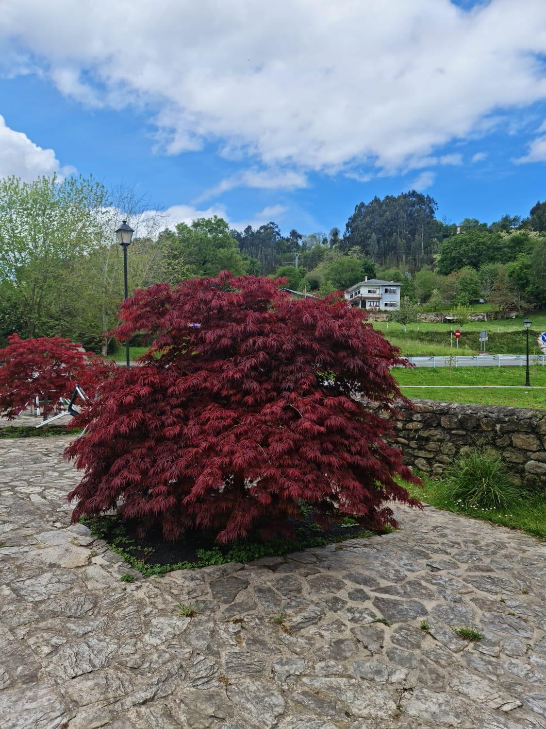 Posada Las Mozas