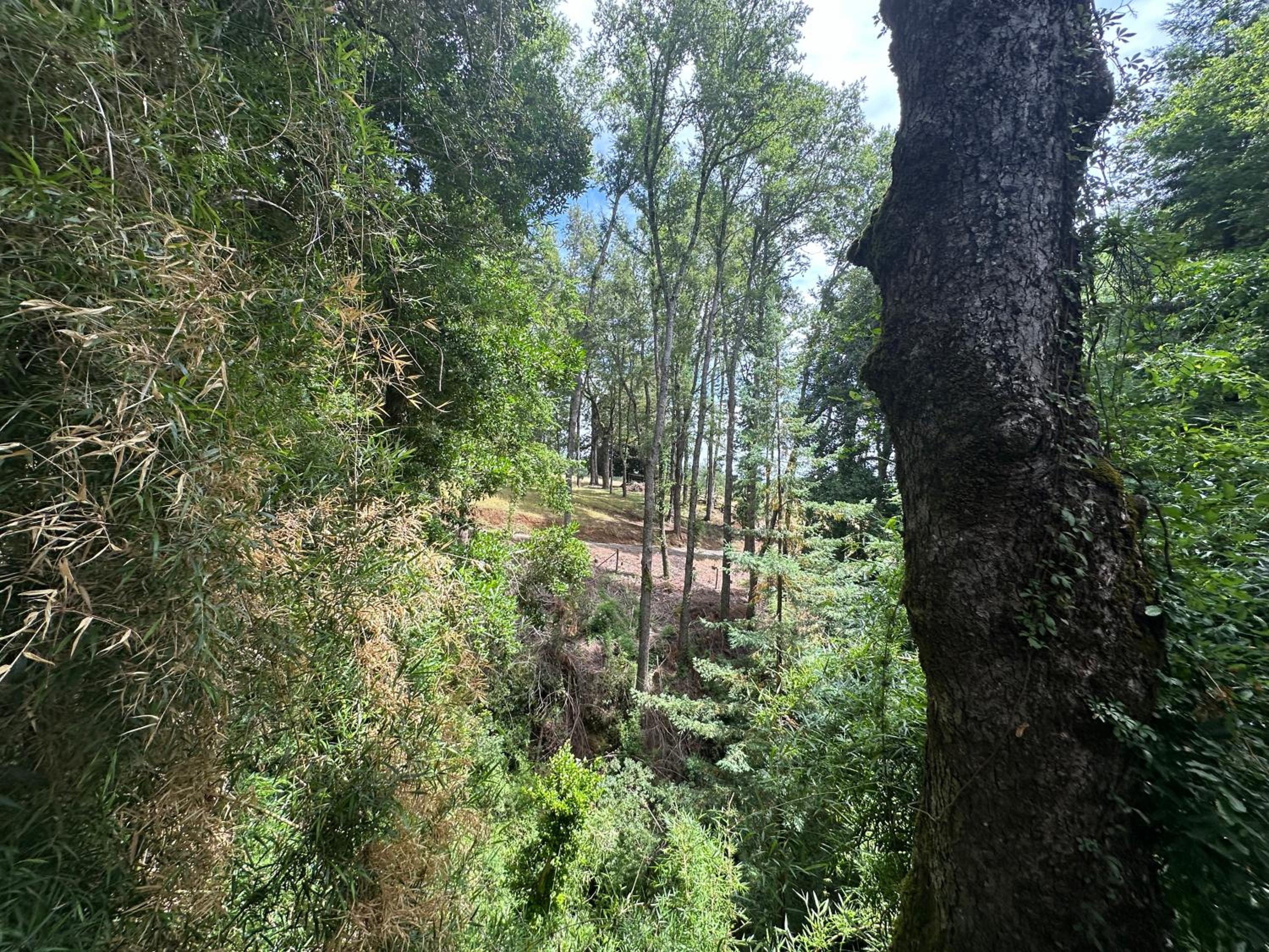 Cabaña Río y Playa, sector Carmelito, Pucón