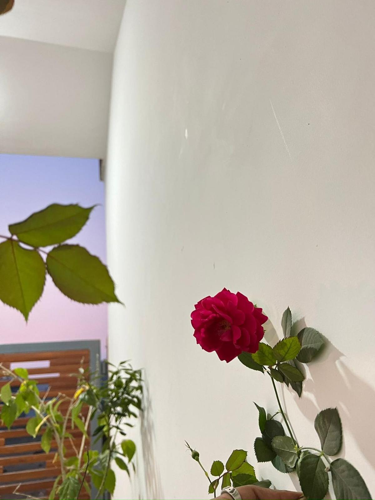 Sangeeta Villa Homestay Udaipur