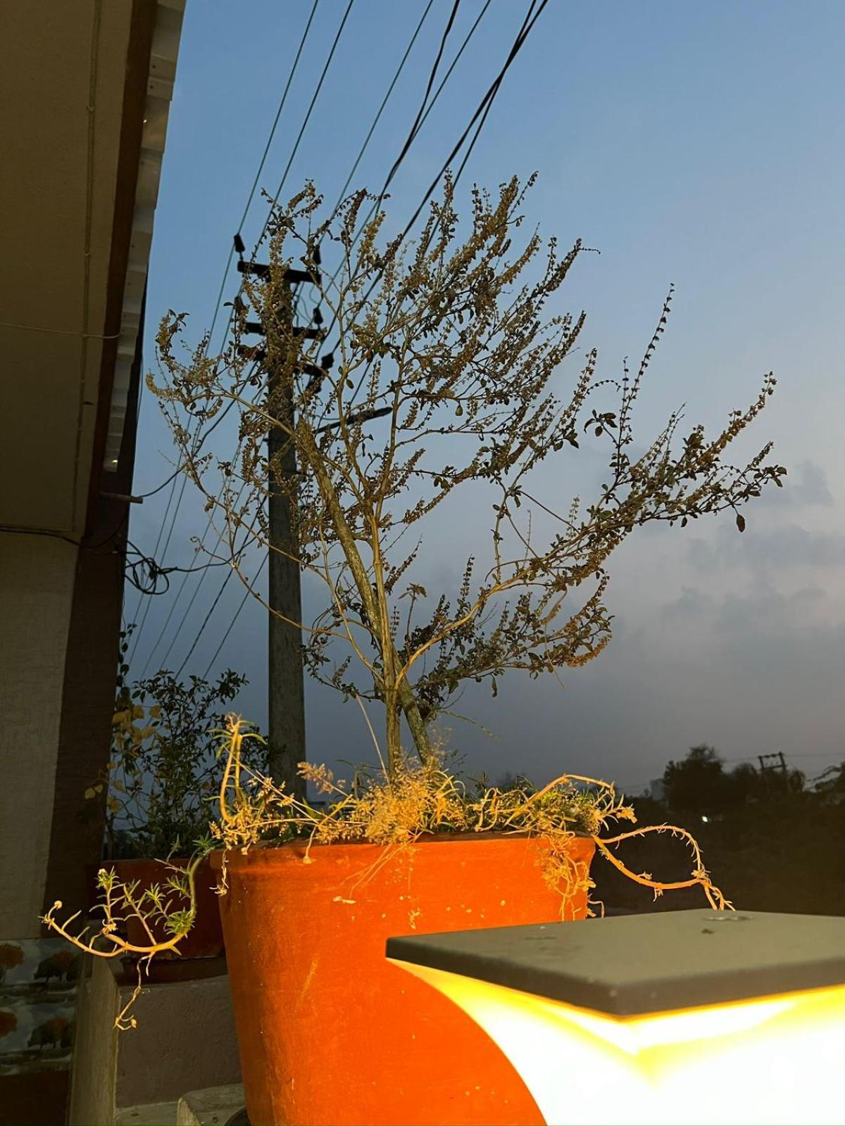 Sangeeta Villa Homestay Udaipur