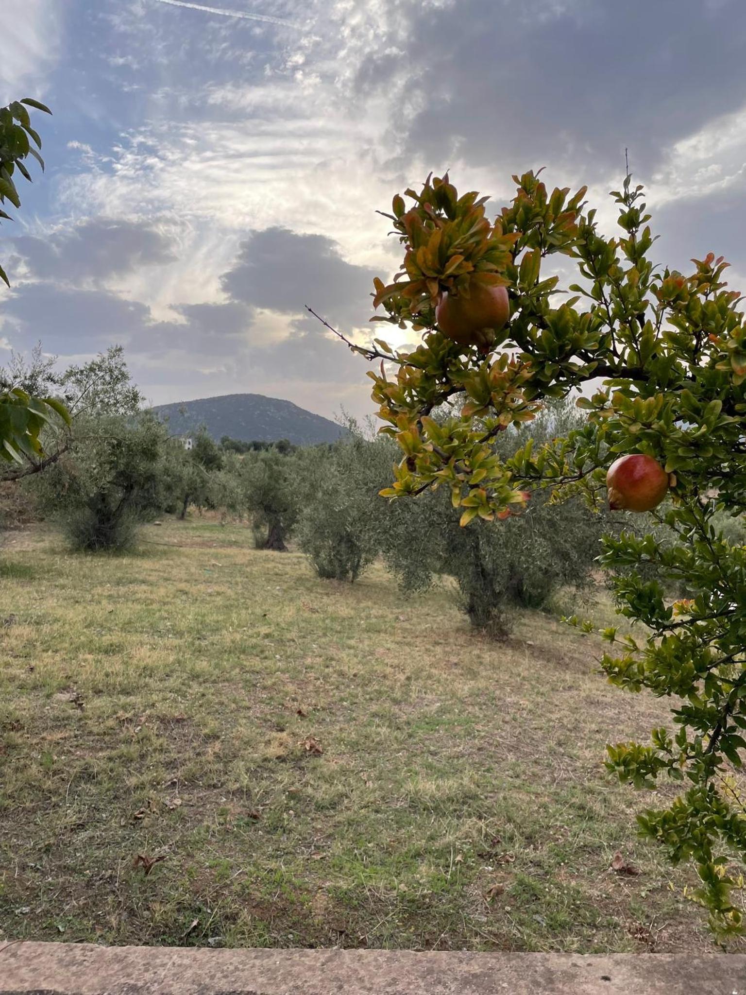 Photo 48