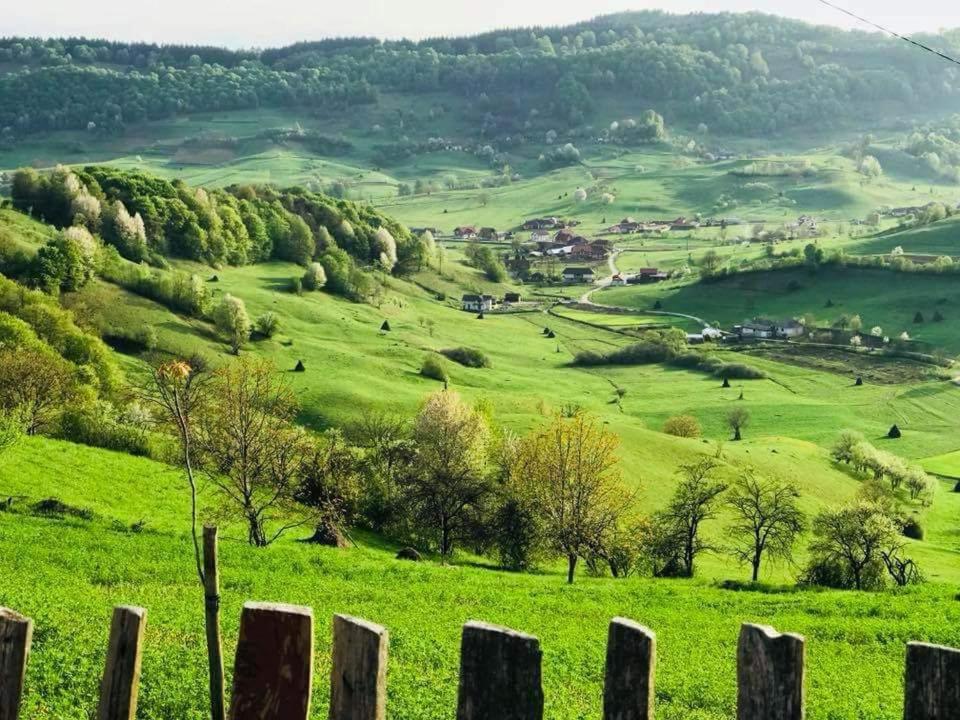 Pensiunea Valea Toplitei view 4