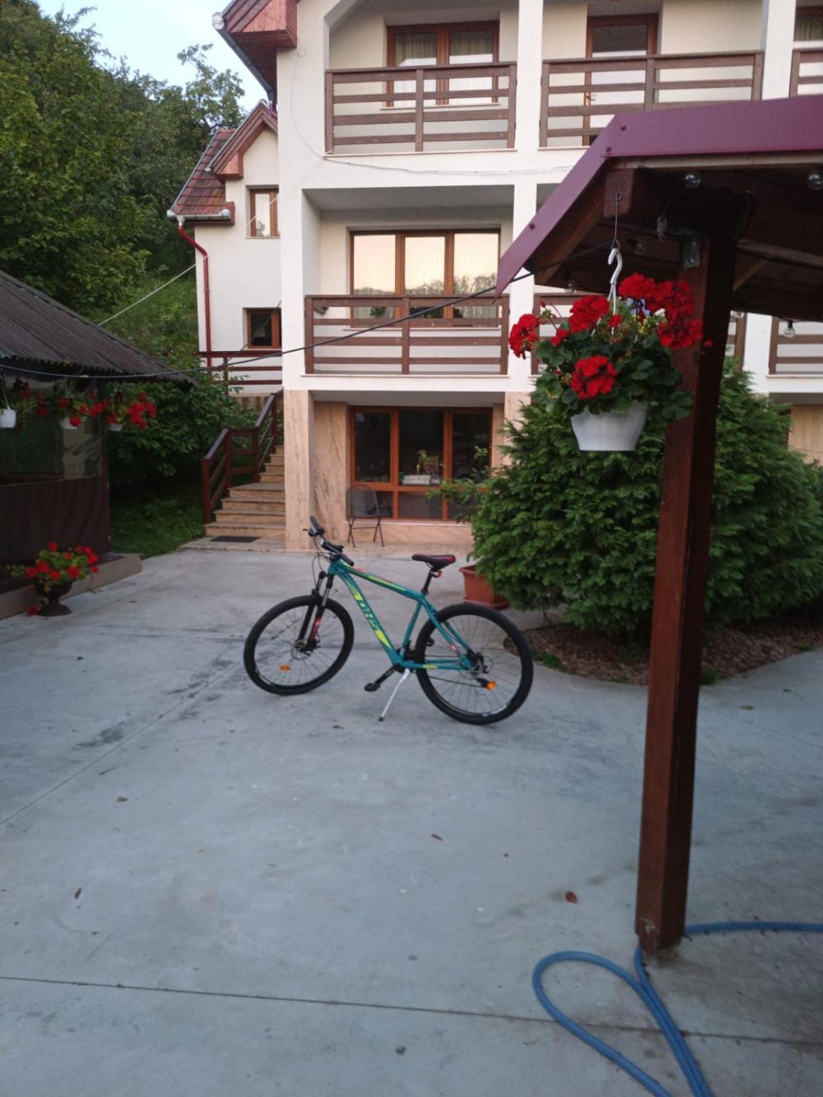 Photo 42