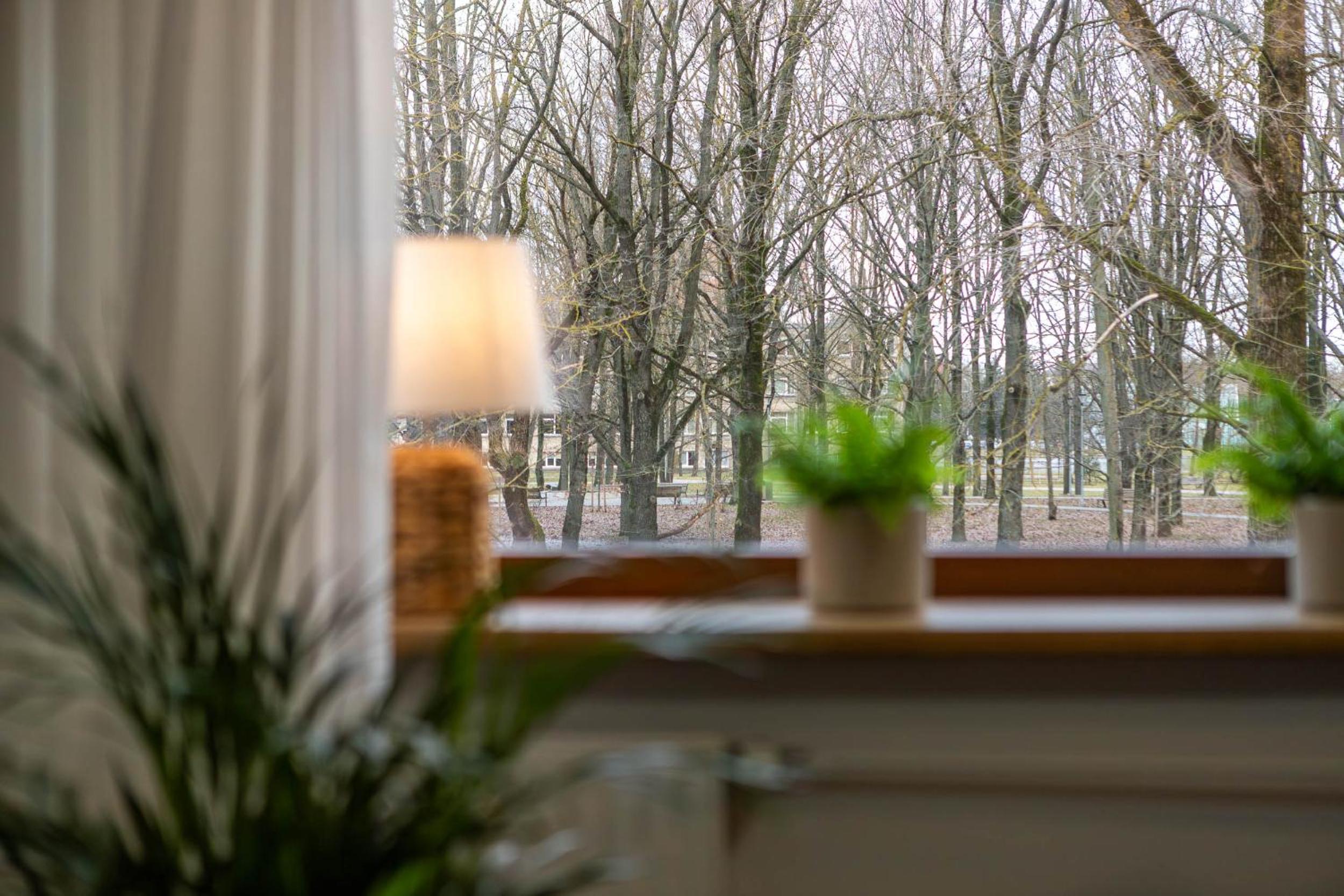 VAVA apartment view 3