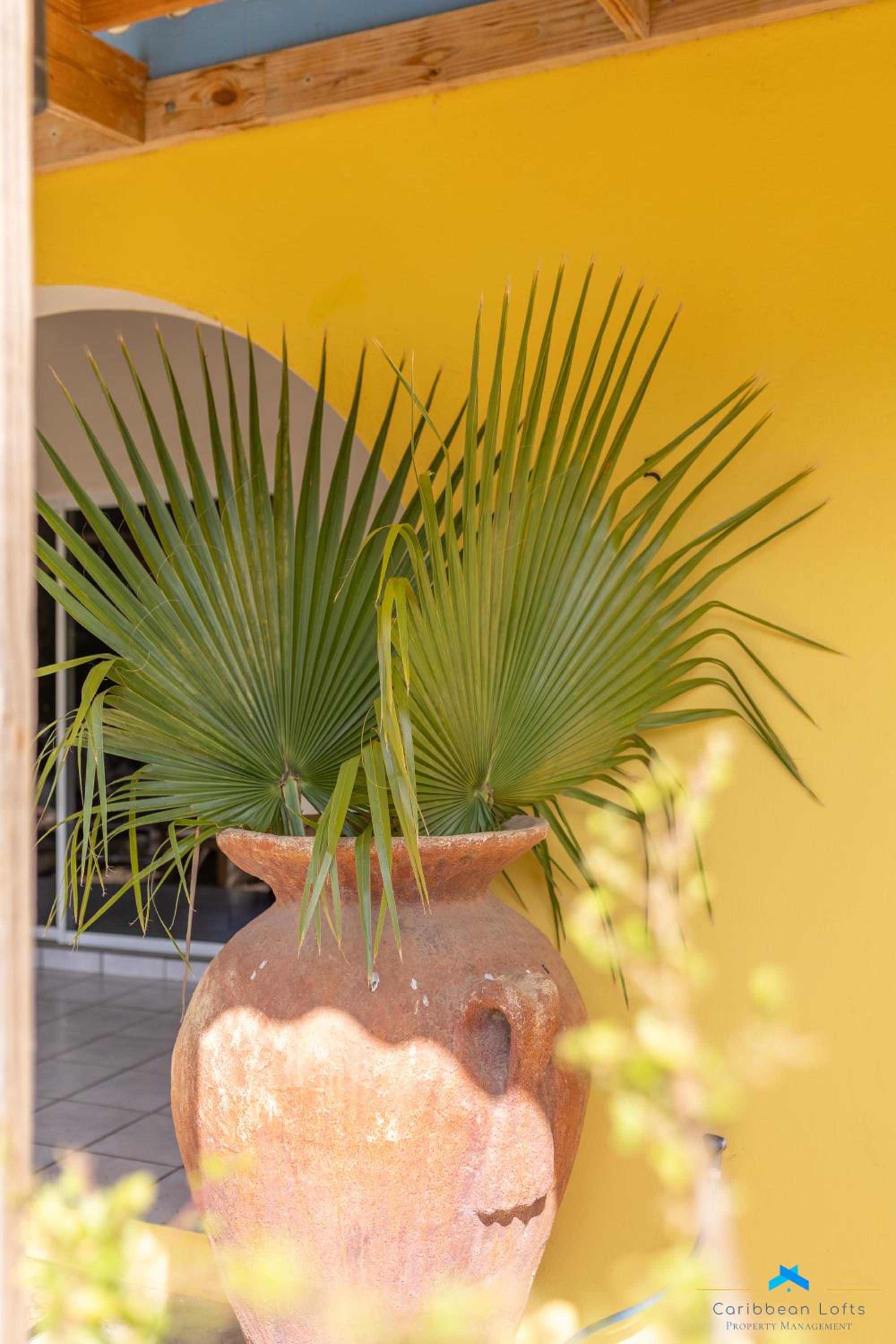 Caribbean Vibes / 2 bedroom house with big terrace
