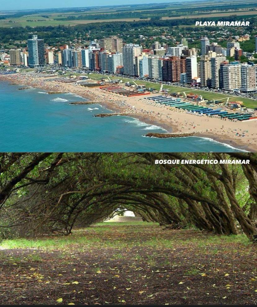 Depto Miramar