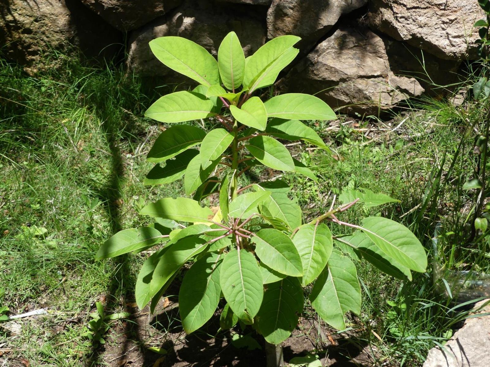 Photo 28