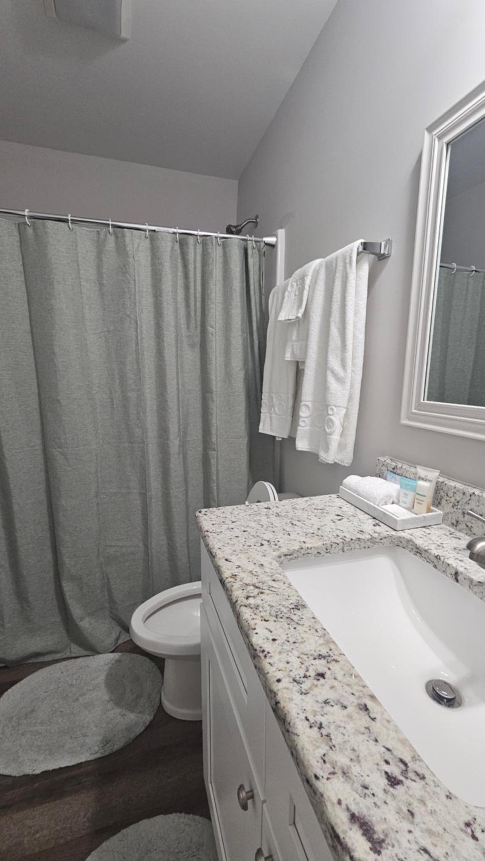 Spacious 3-Bedroom Modern Home Near CLT Motor Speedway view 4