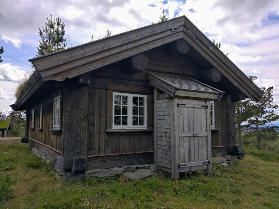 Photo 7