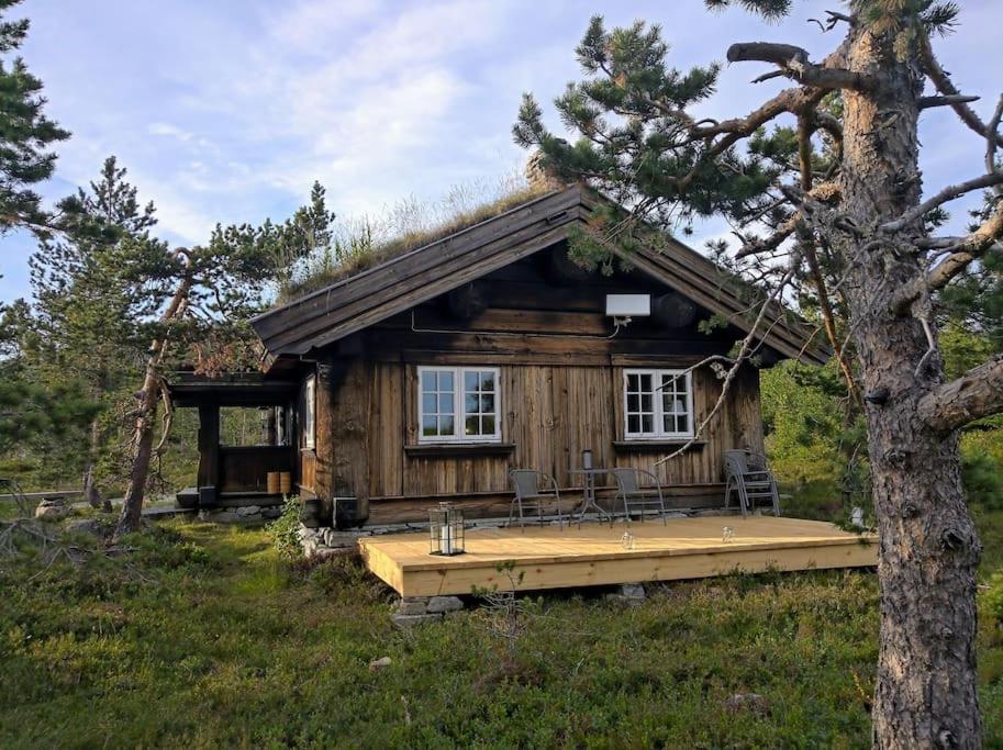 Photo 14