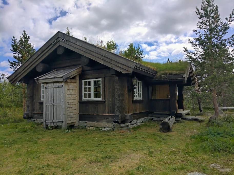 Photo 22