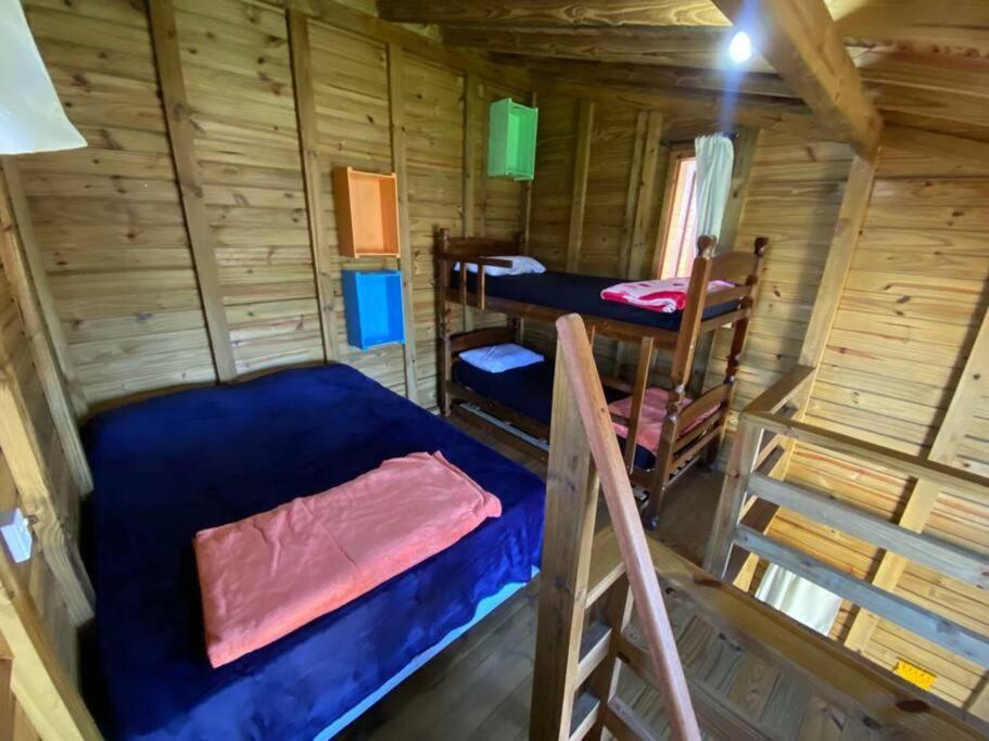 Casa Eva Suli