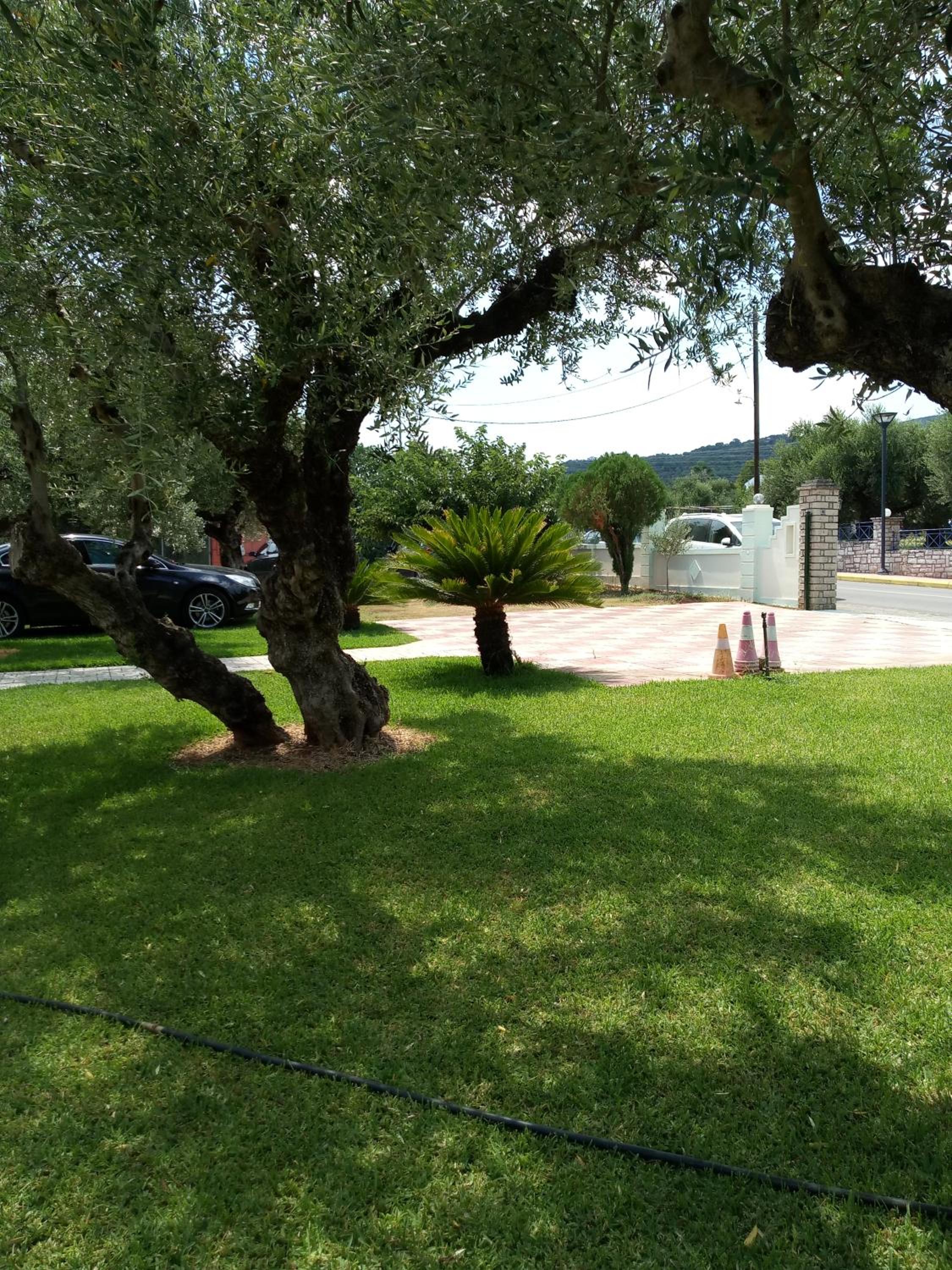 Photo 34