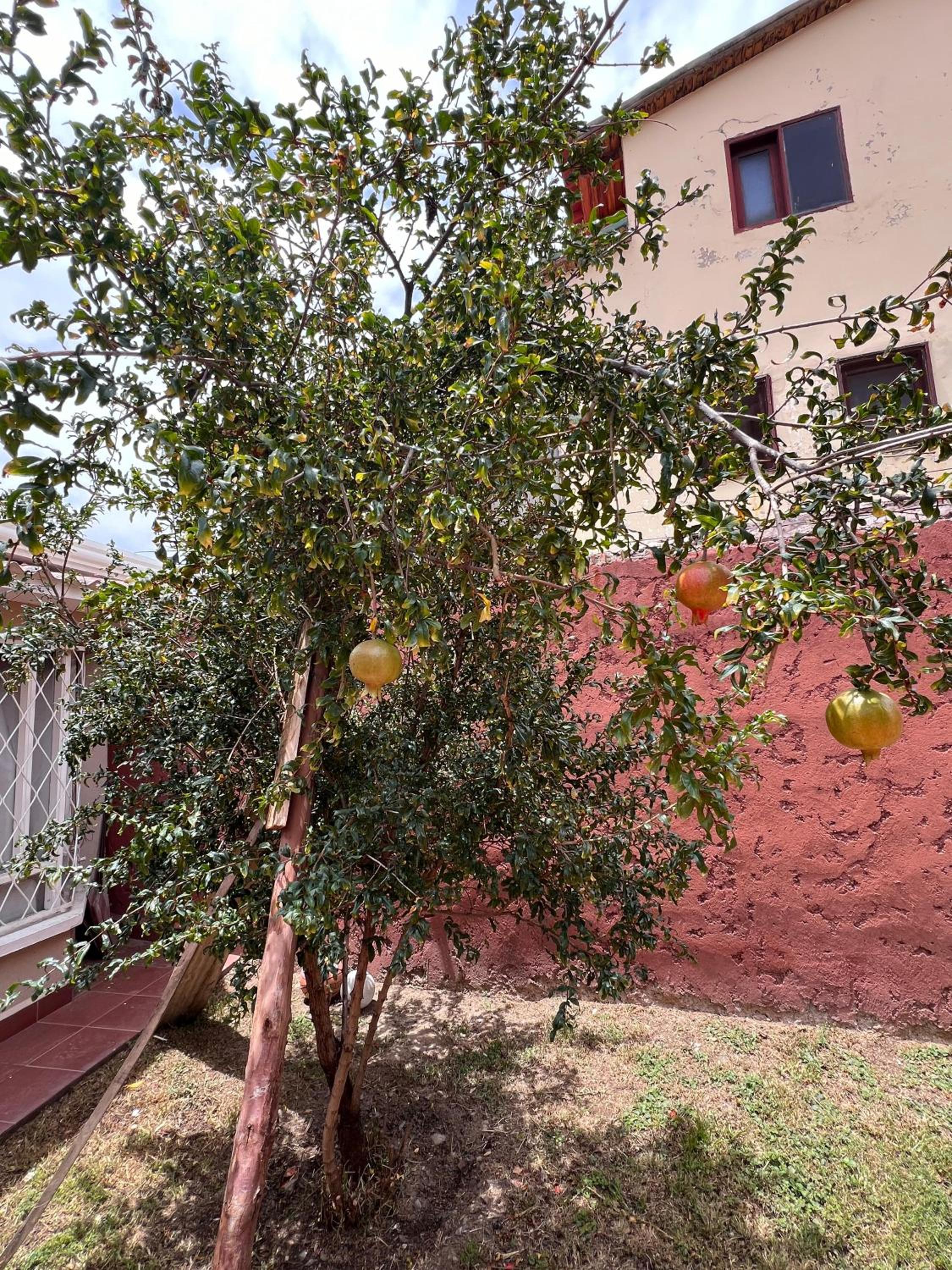 Hermosa y cómoda casa en Cochabamba