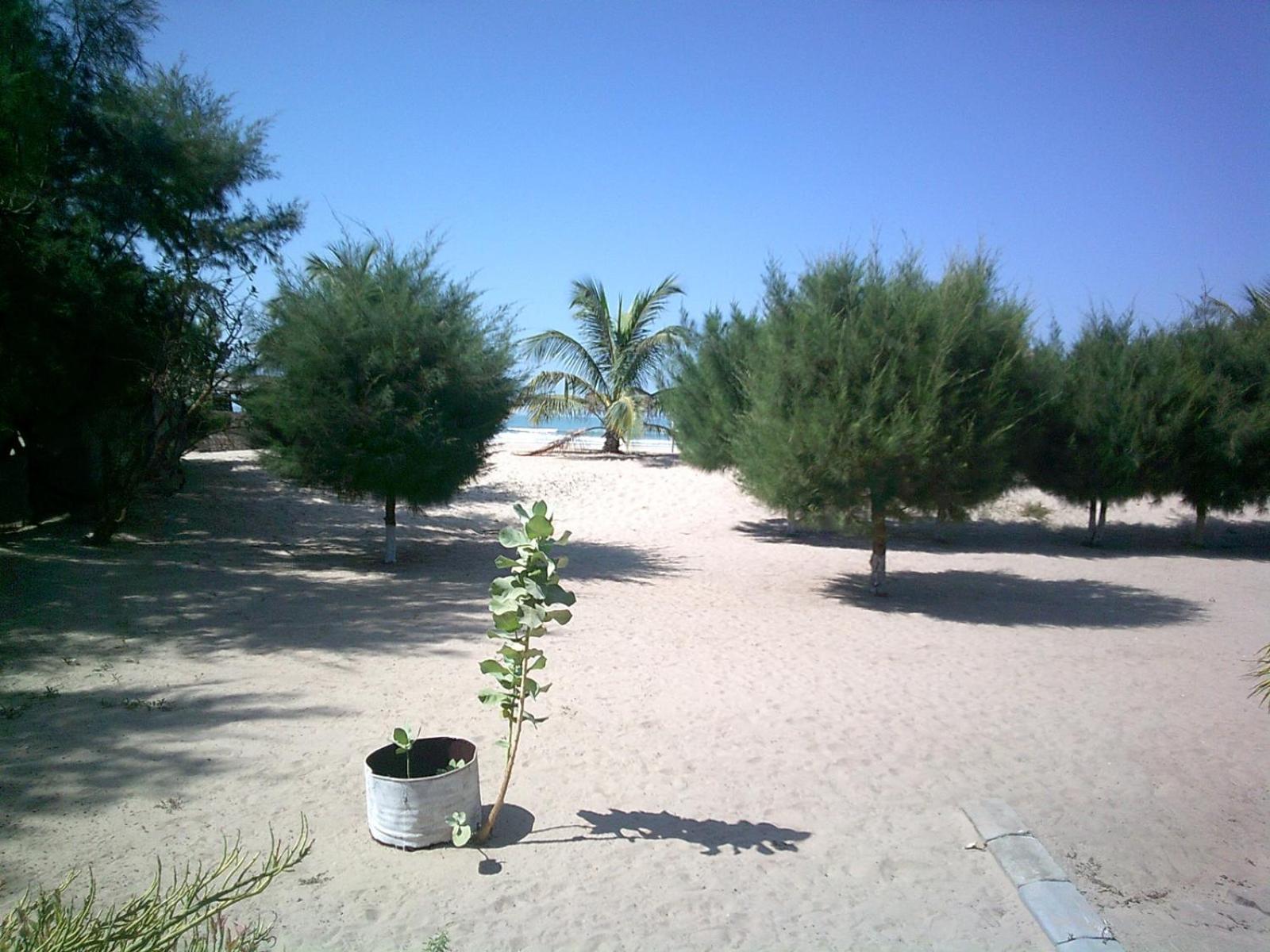 MANGROVE BEACH