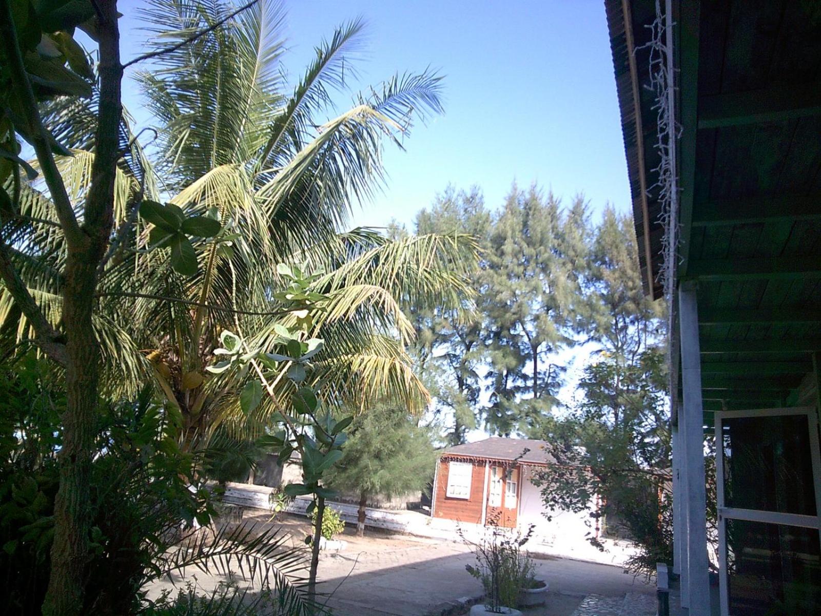 MANGROVE BEACH