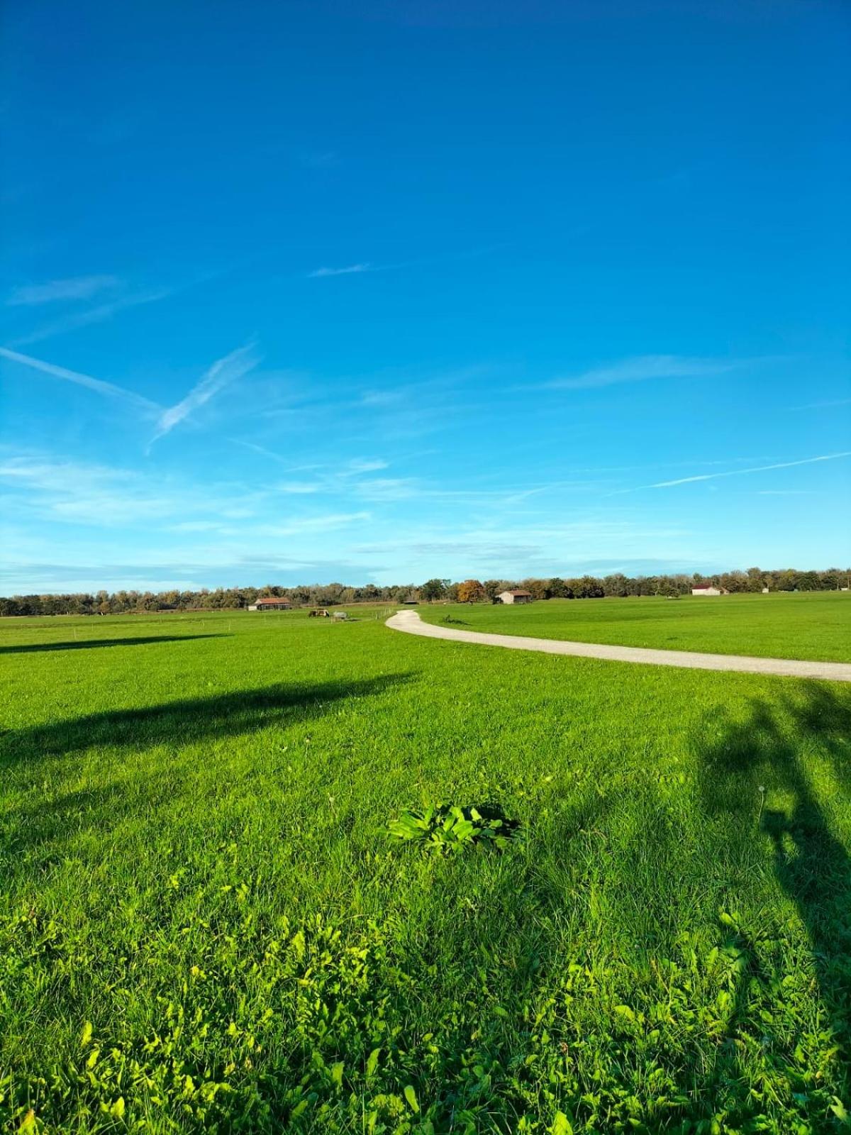Feriennest Chiemseeglück view 4