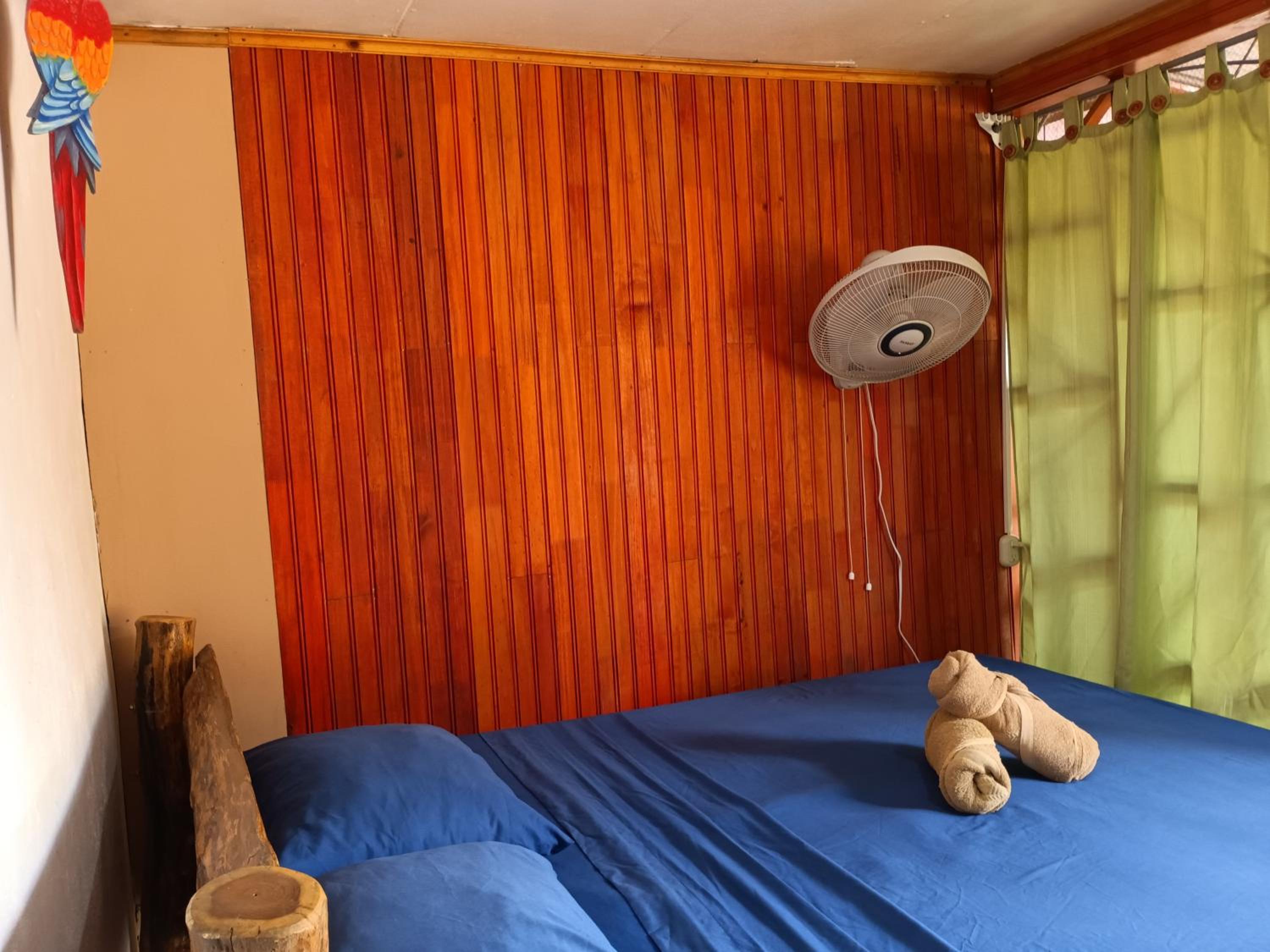 Jacobin Hostel & Cabins view 3