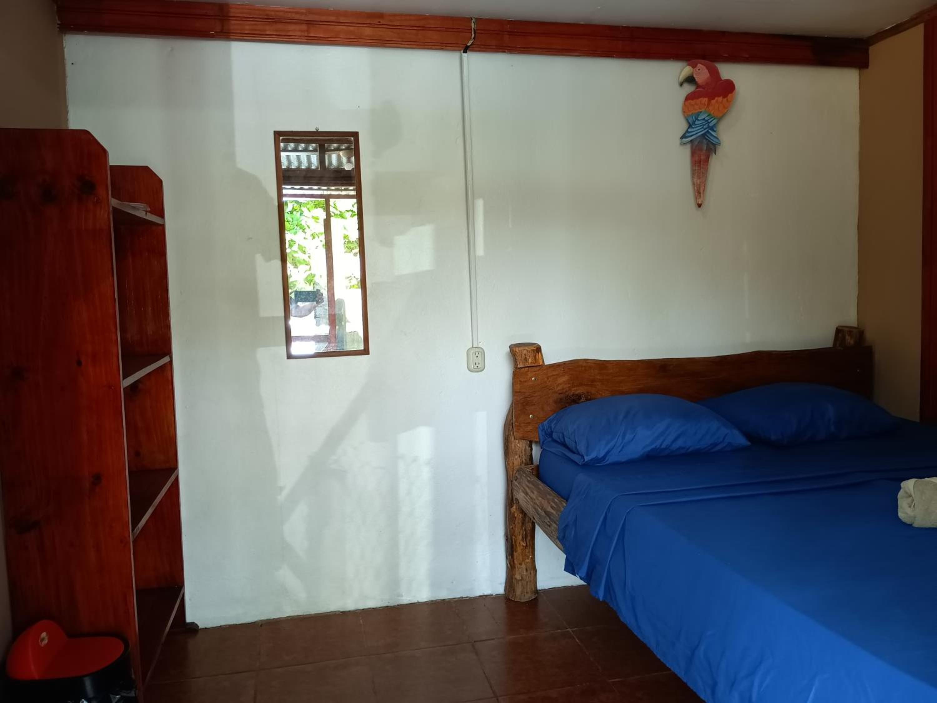 Jacobin Hostel & Cabins view 4