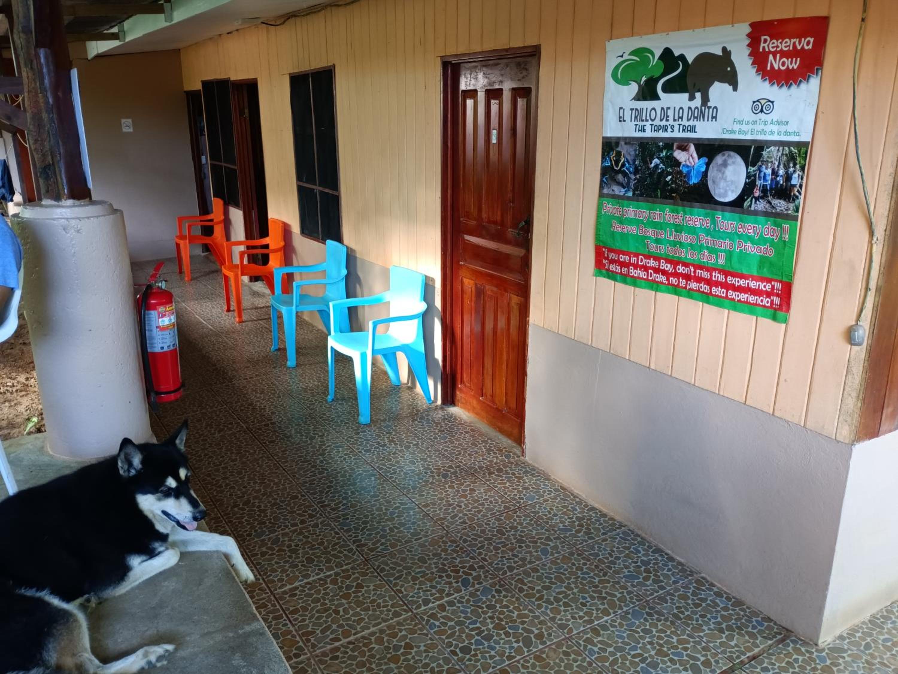 Jacobin Hostel & Cabins view 5