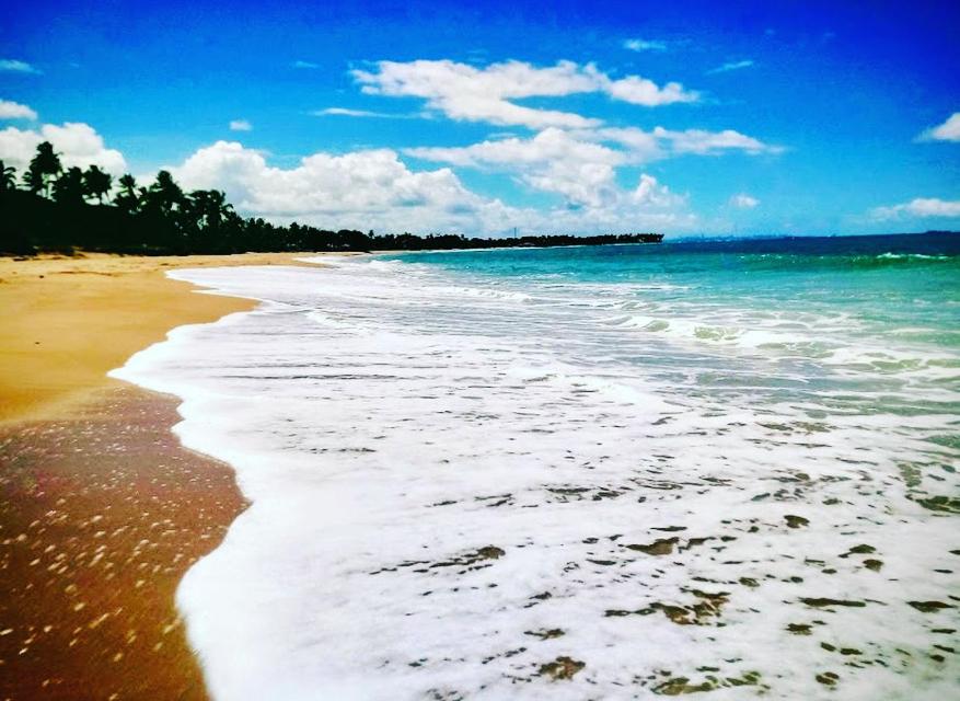Casa ilha Itaparica