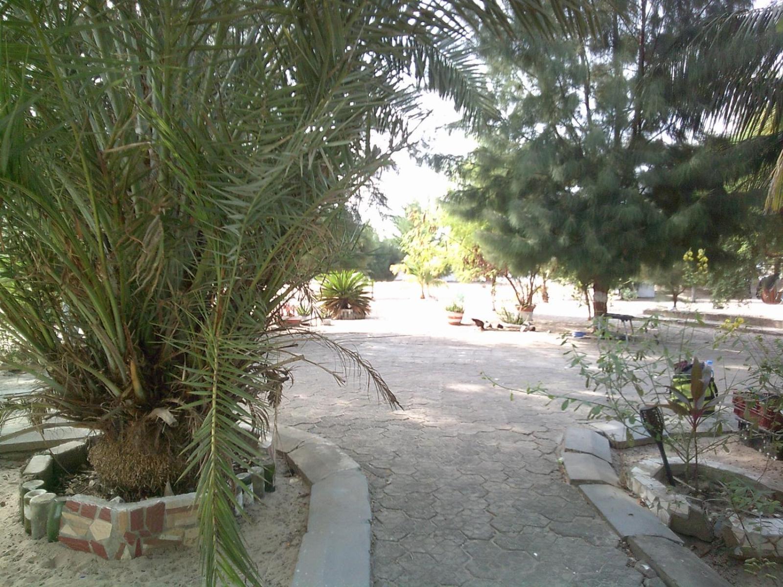 MANGROVE BEACH