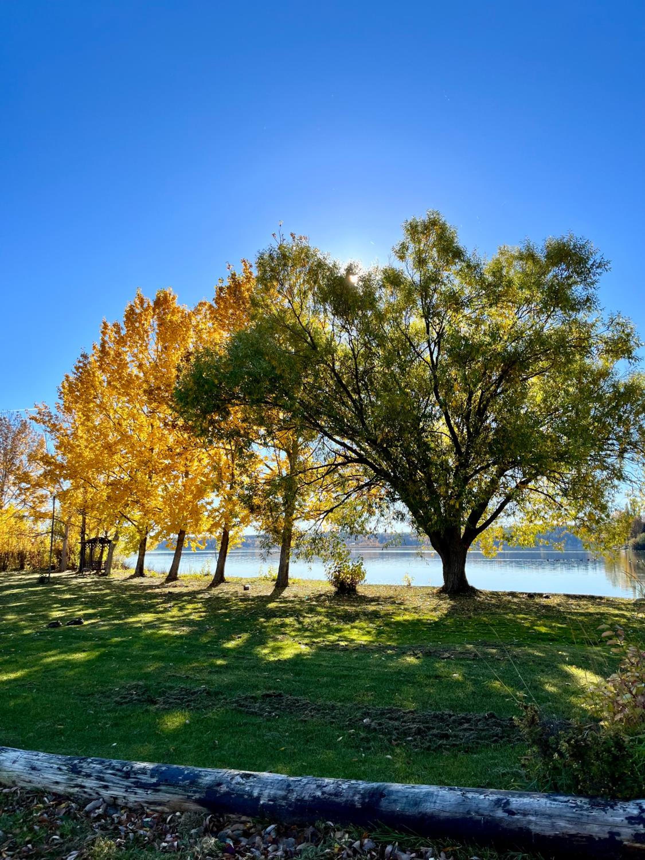 Roberts Roost Resort
