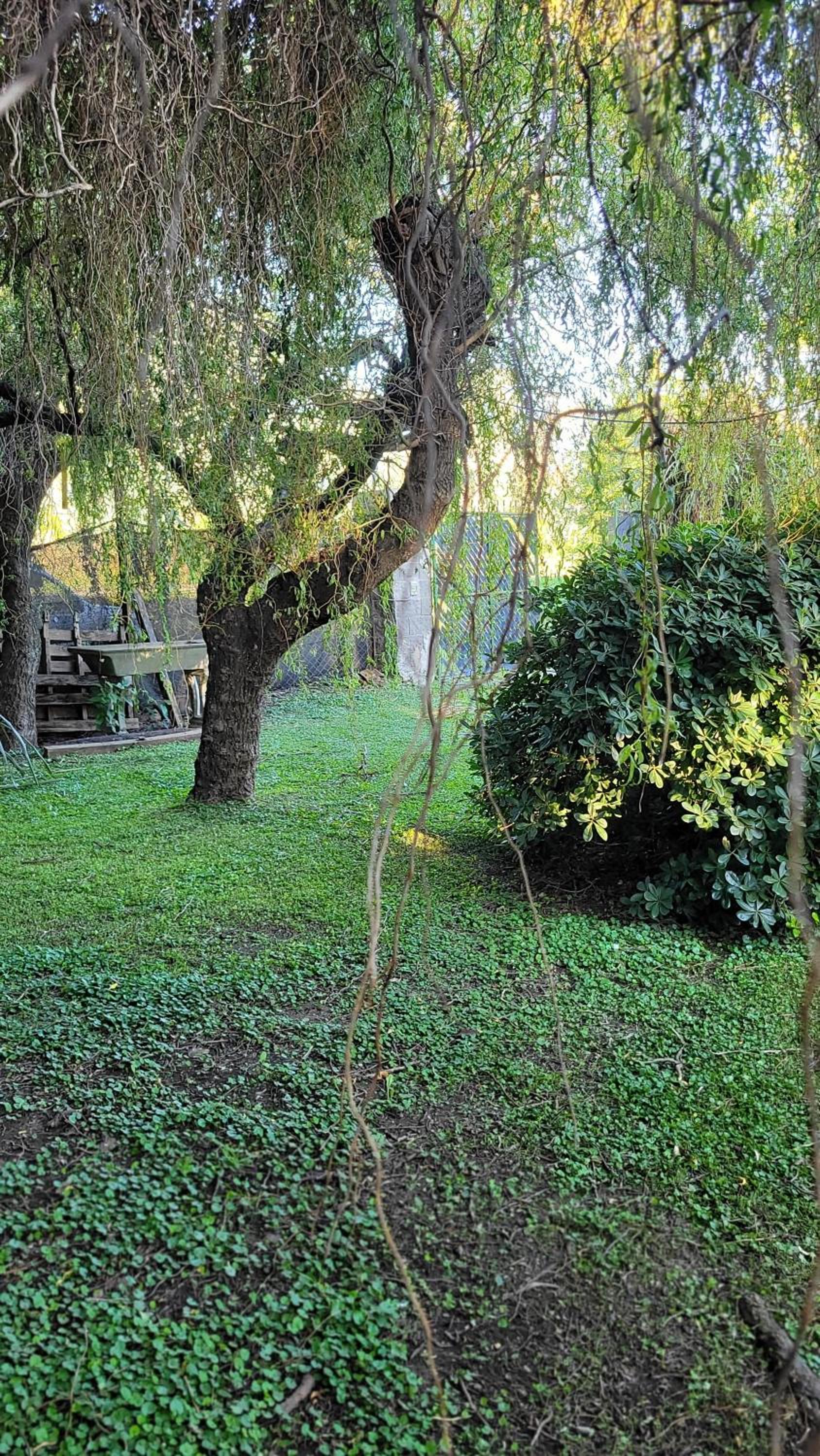 La Casita de la Ruta