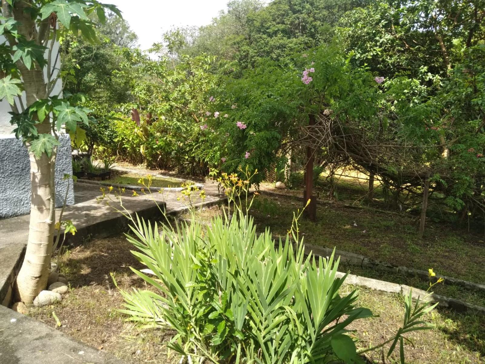 Casa Delicia em Passa Quatro Até 6 pessoas