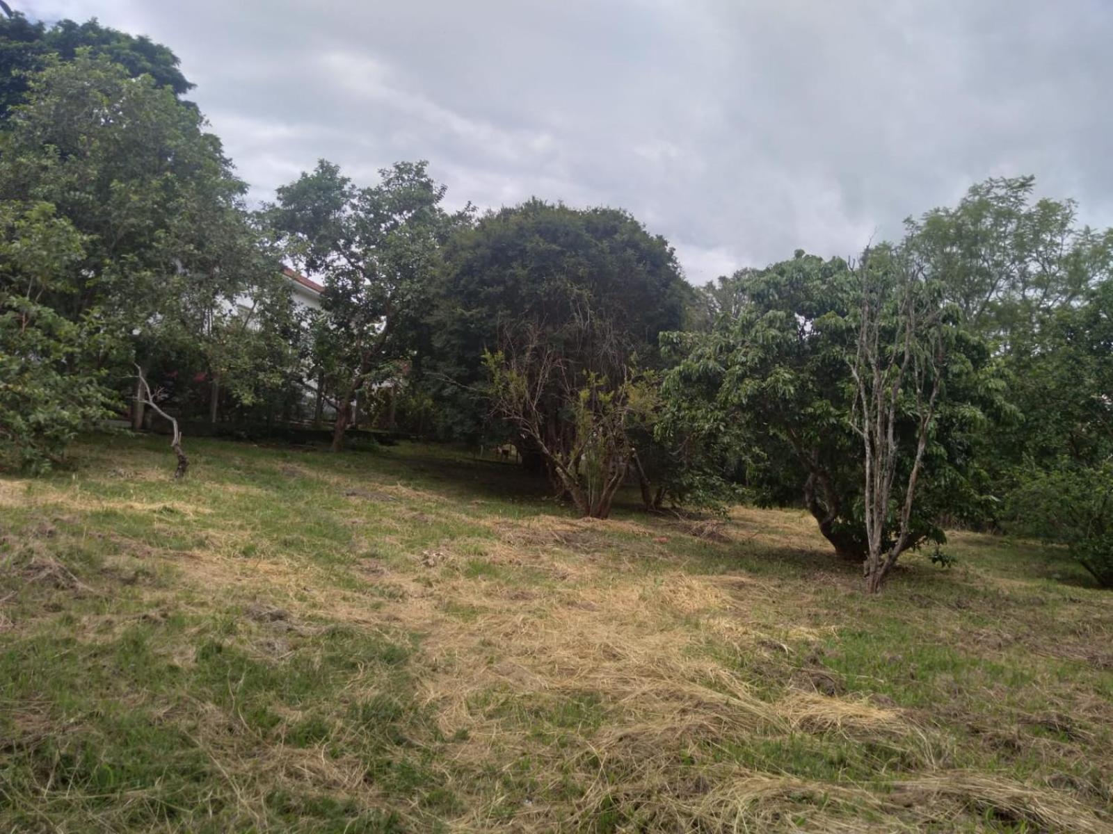 Casa Delicia em Passa Quatro Até 6 pessoas