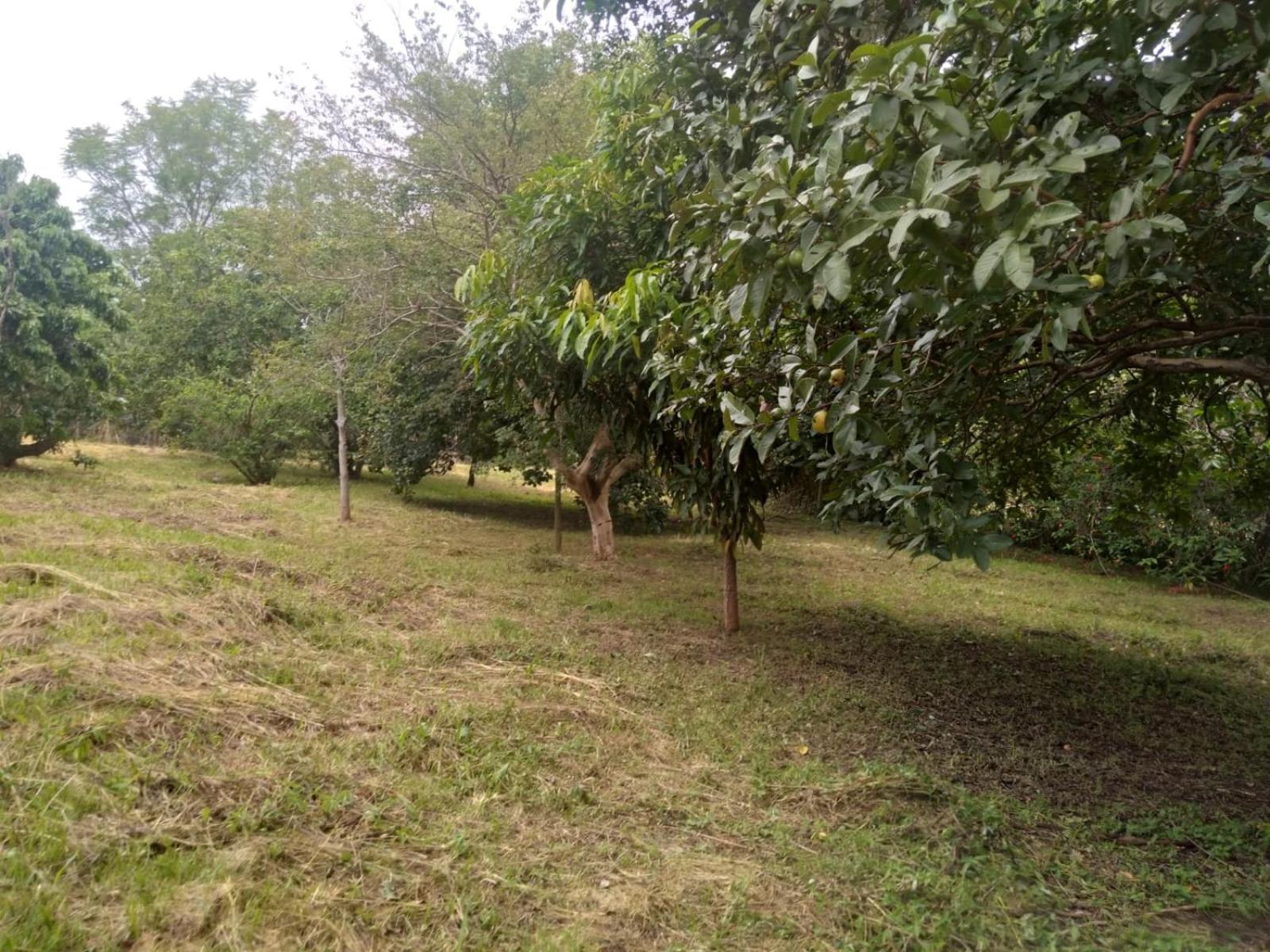 Casa Delicia em Passa Quatro Até 6 pessoas
