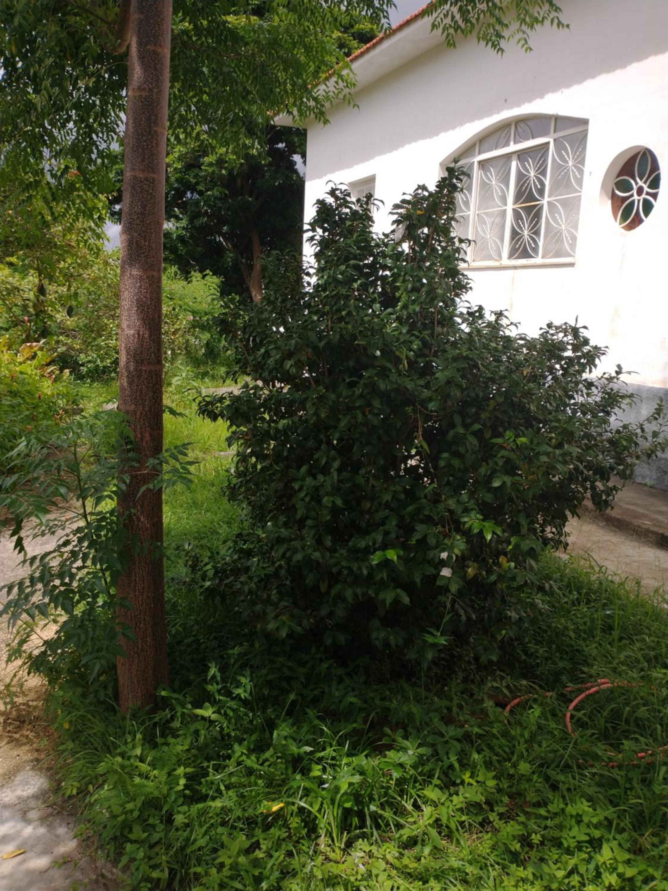 Casa Delicia em Passa Quatro Até 6 pessoas
