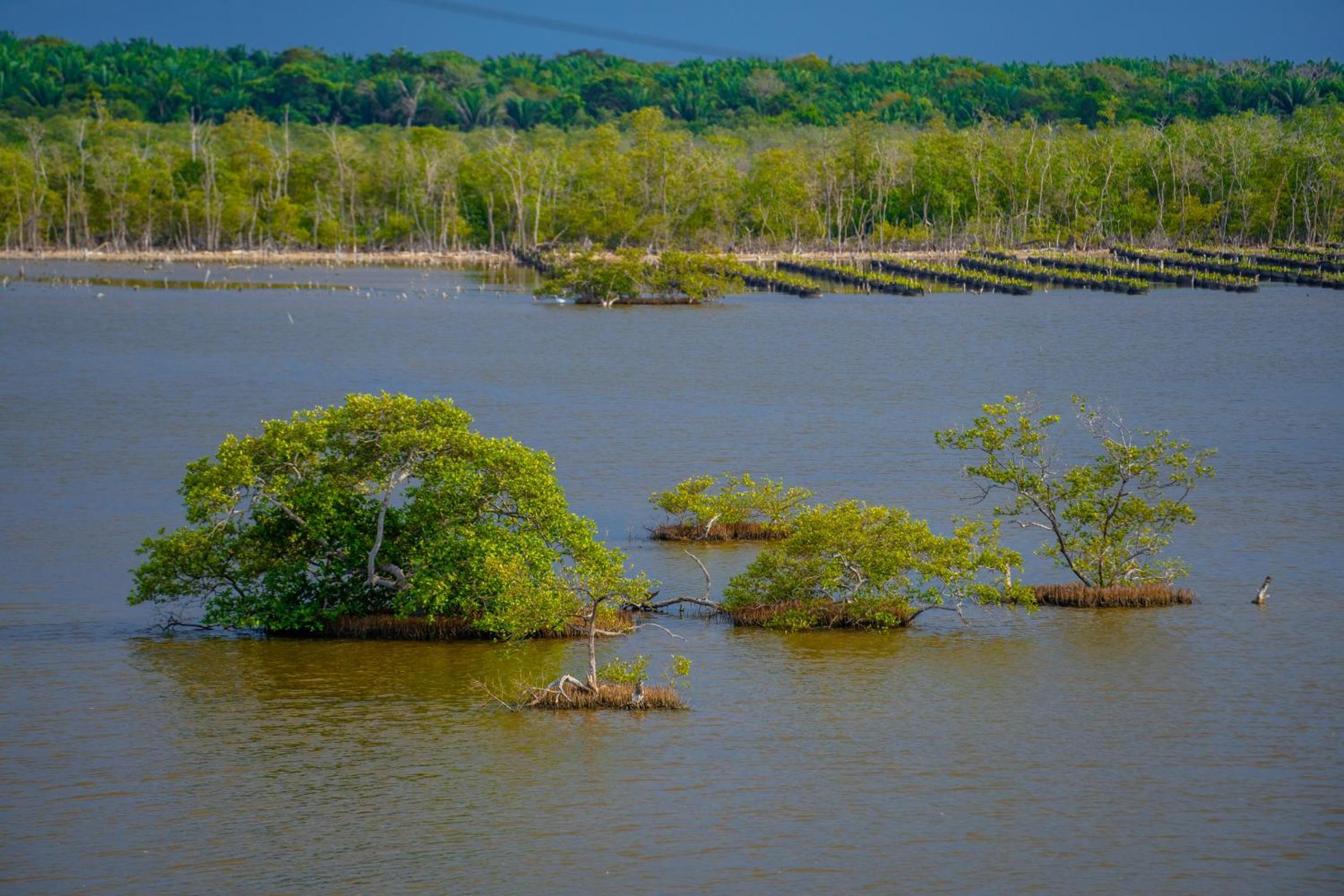 Casa Del Mar Al Alma - Property Image 52