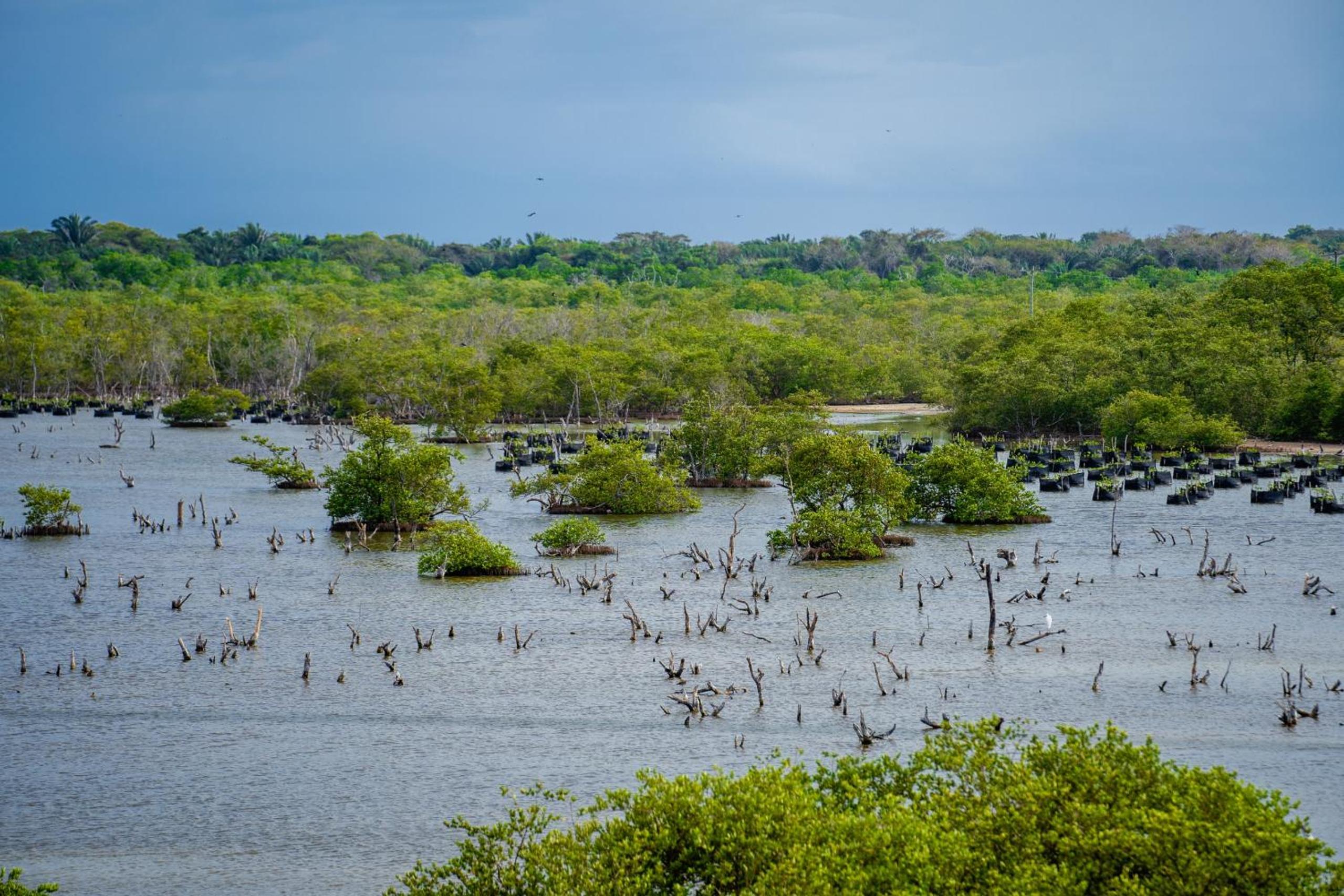 Casa Del Mar Al Alma - Property Image 6