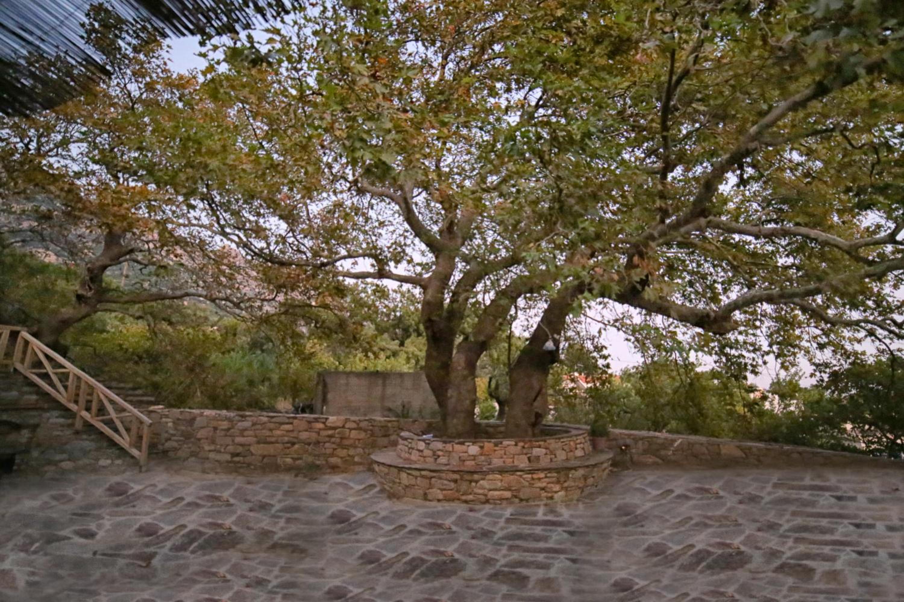 Photo 41