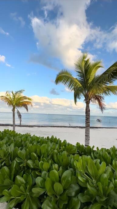 LUXURY CONDO BEACHFRONT AMARA