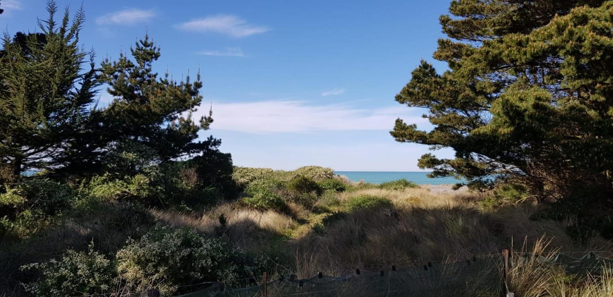 Pacific View by Tiny Away view 3
