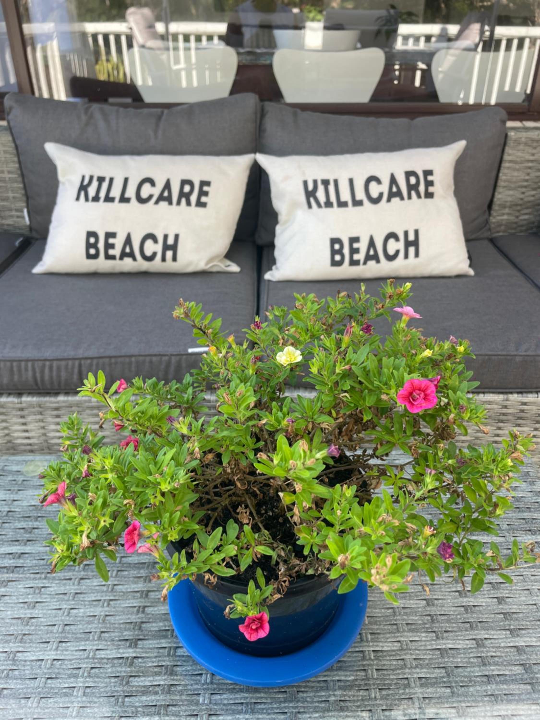 Killcare Beach House
