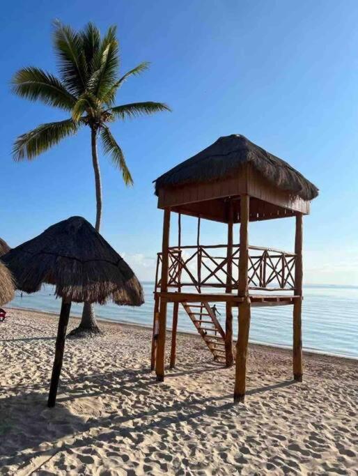 Casa Cebra by the beach -Roof top lounge! Playa del Niño