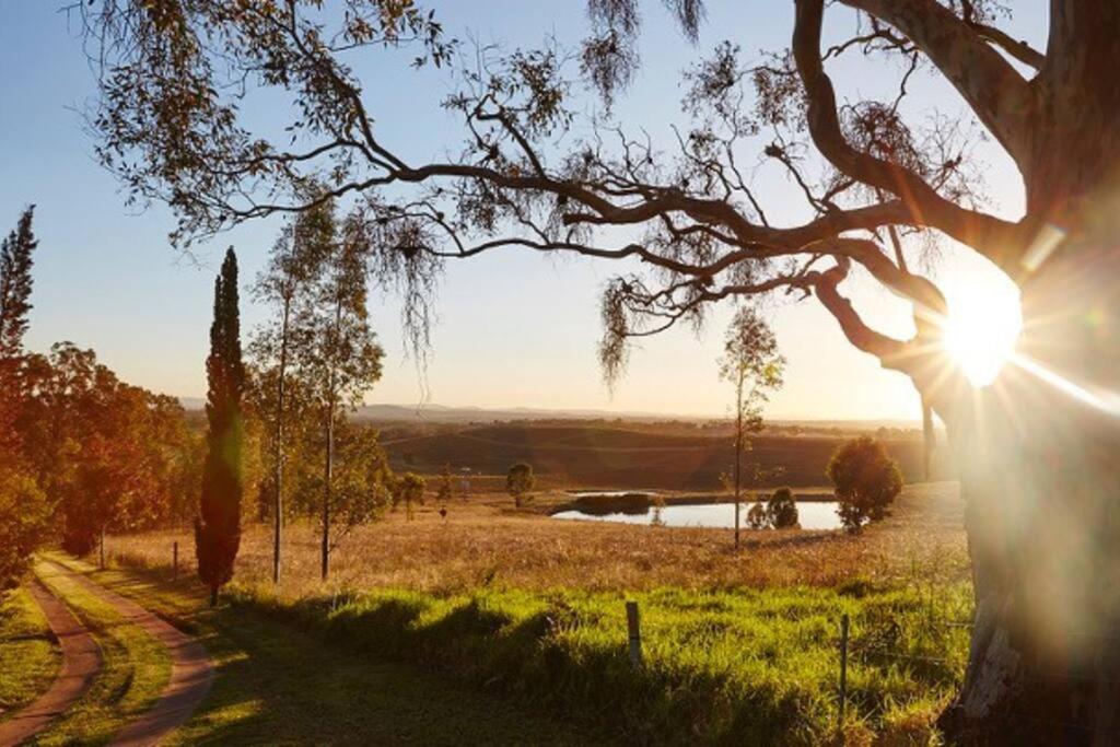 Milla's Vineyard Estate