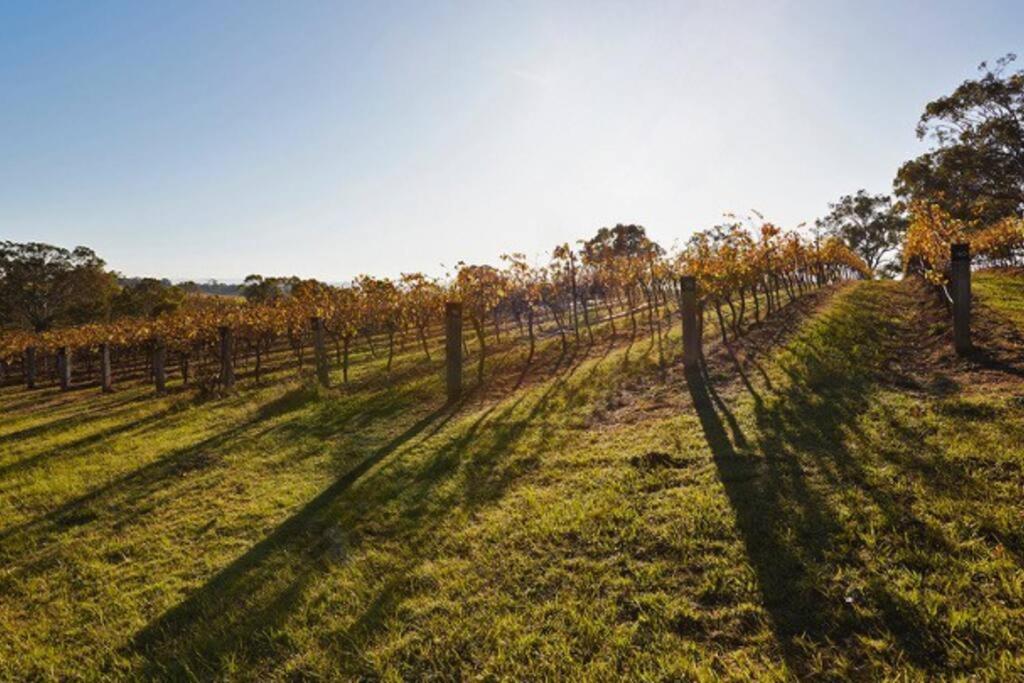 Milla's Vineyard Estate