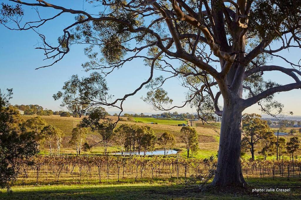 Milla's Vineyard Estate