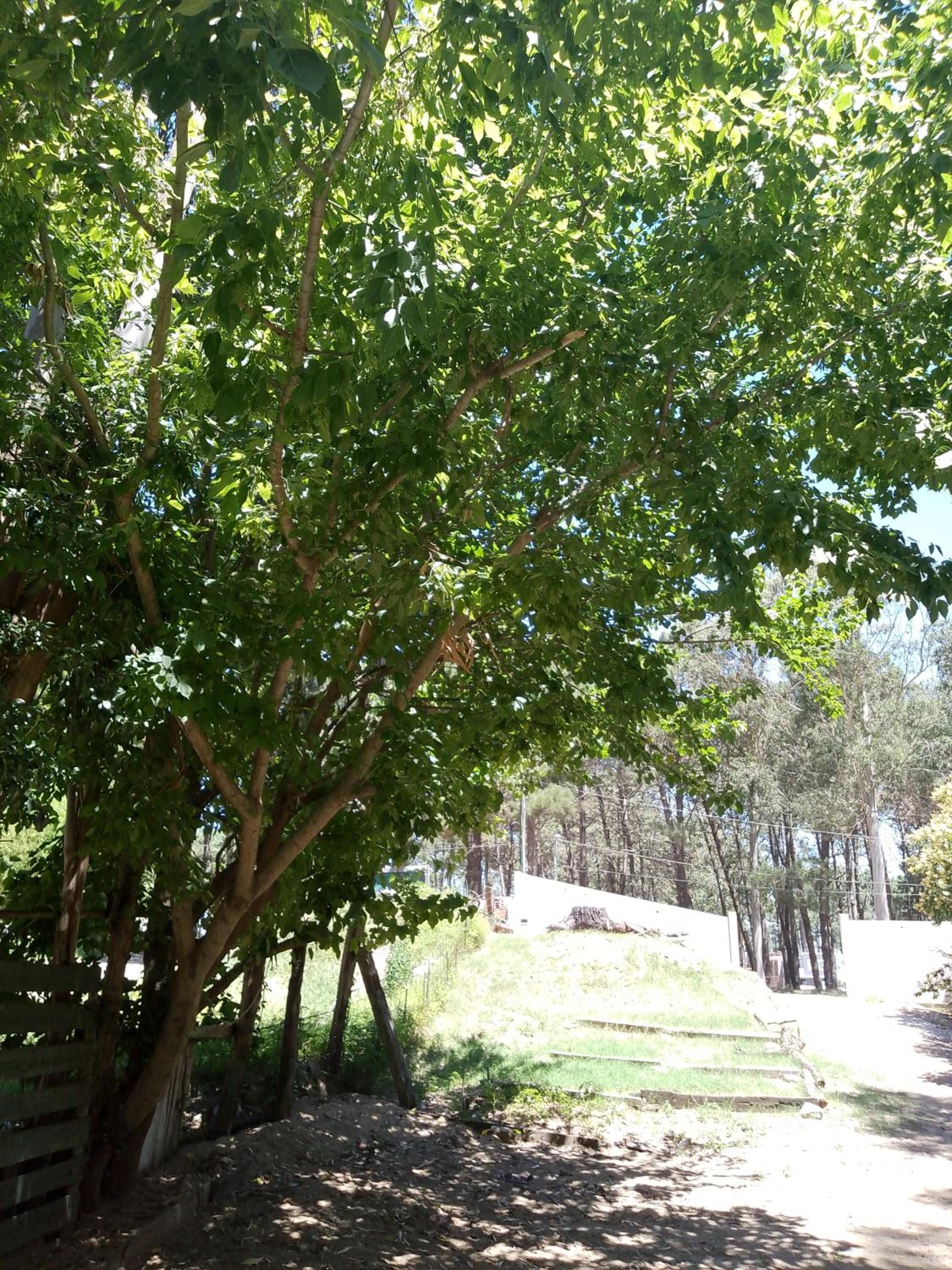Depto Rústico-Moderno