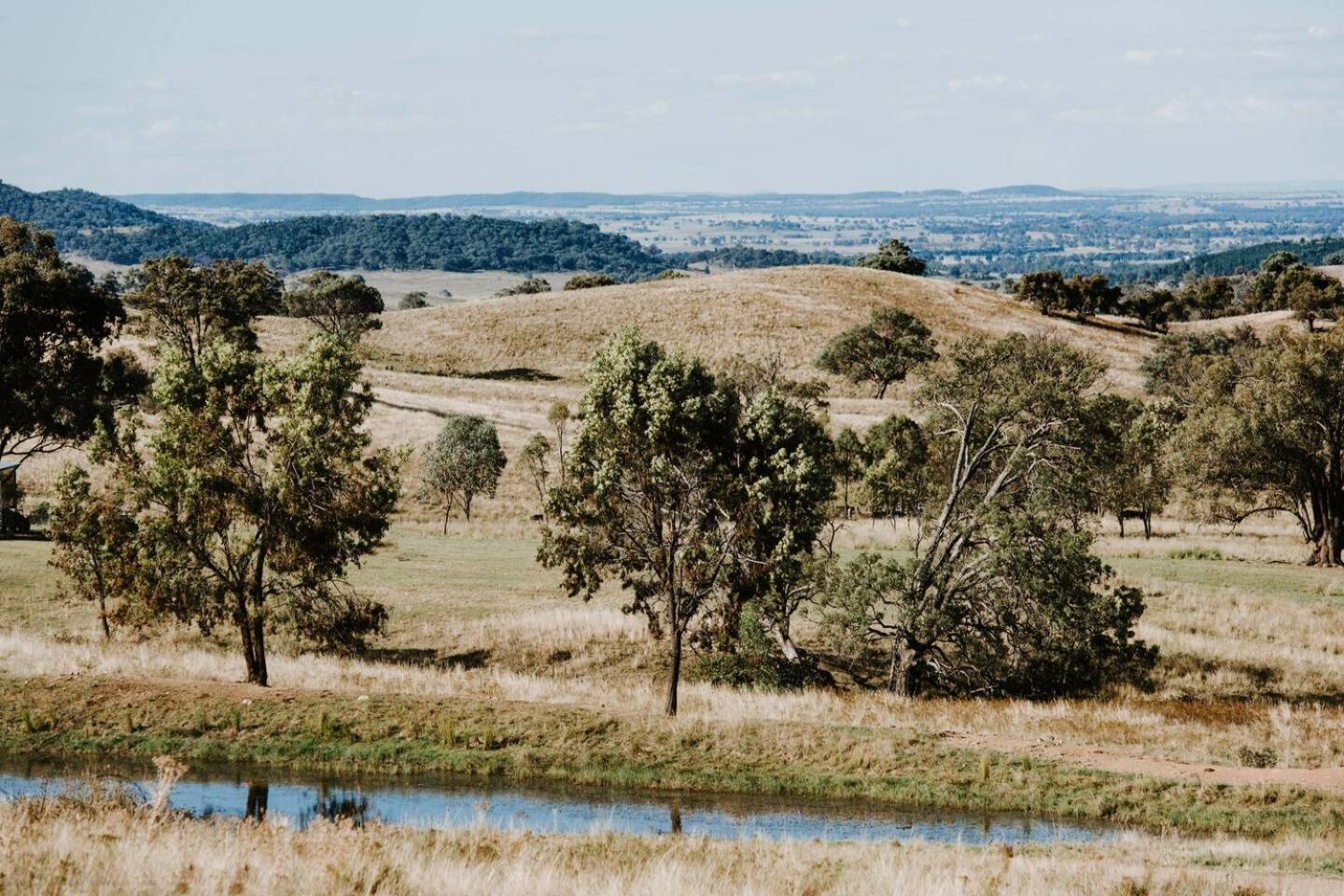 Canguri Boutique - A Memorable Farmstay near Mudgee